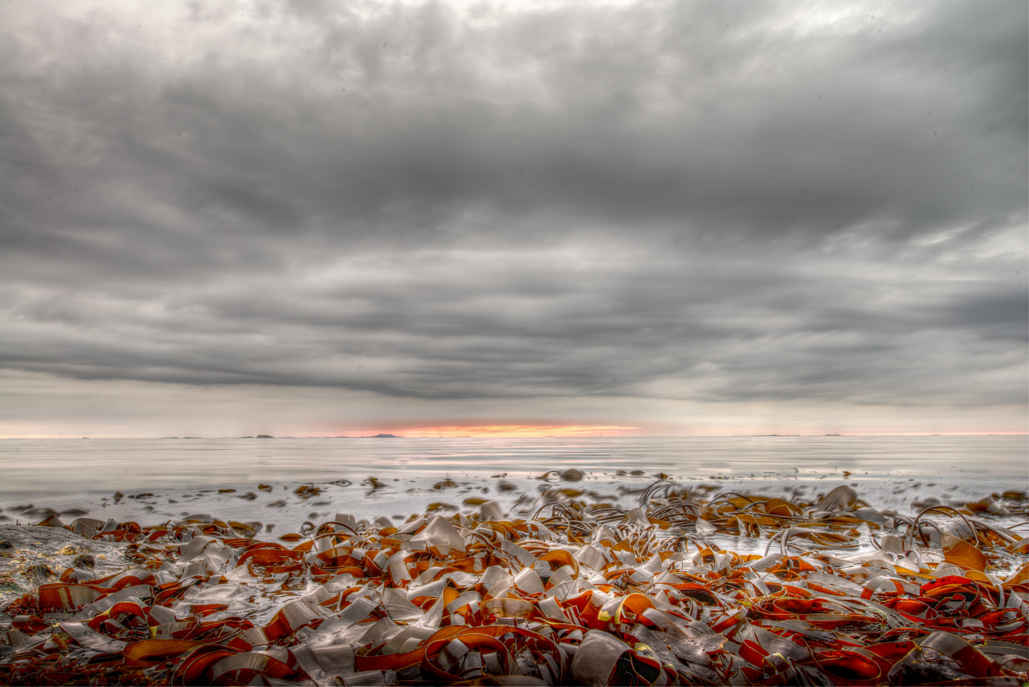 Nikon D800 + Nikon PC-E Nikkor 24mm F3.5D ED Tilt-Shift sample photo. Low tide2 photography