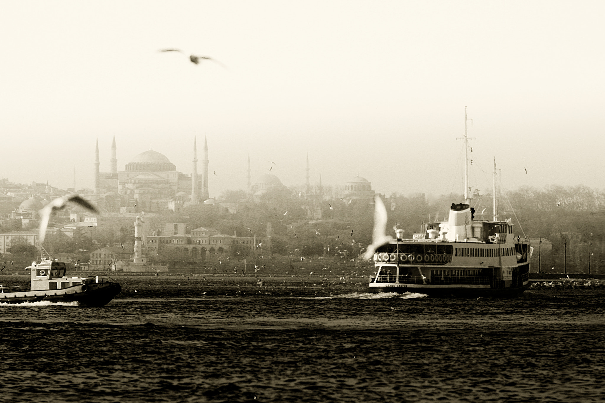 Tamron SP AF 70-200mm F2.8 Di LD (IF) MACRO sample photo. Istanbul photography