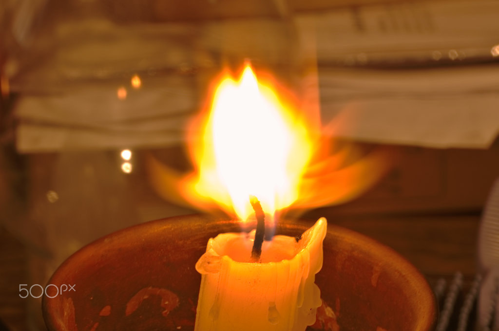105mm F2.8 sample photo. Fire flowers photography