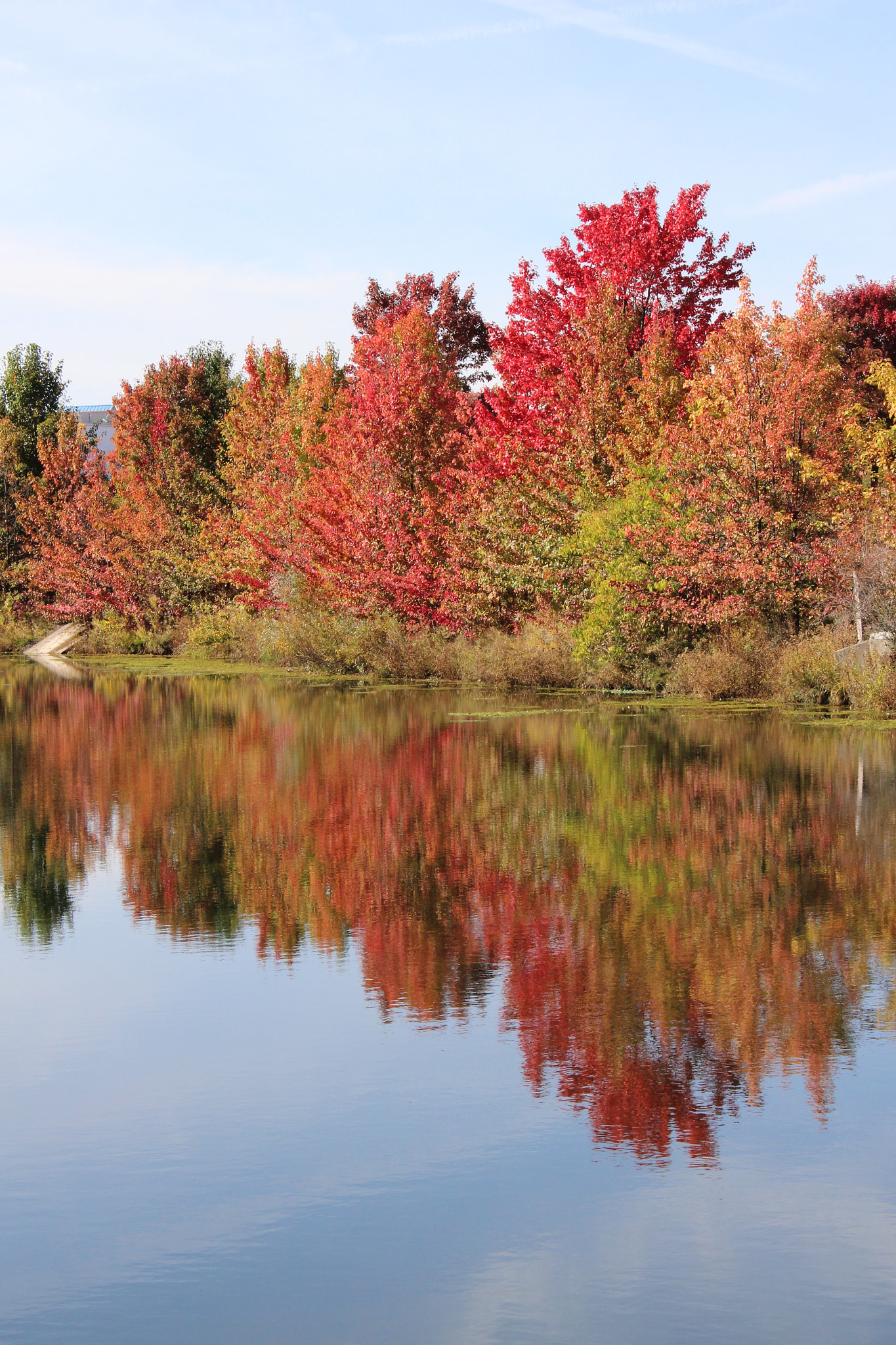 Canon EF-S 18-55mm F3.5-5.6 IS II sample photo. Fall colors photography