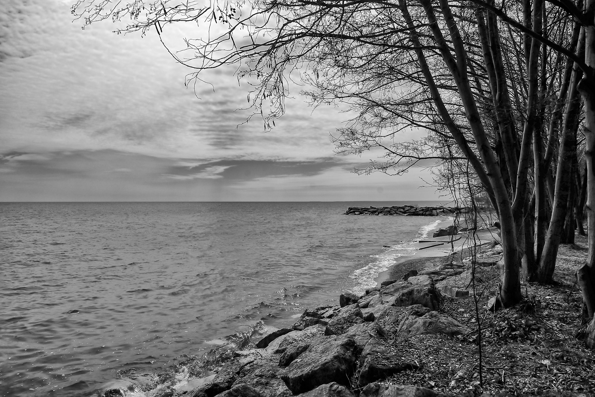 Fujifilm XC 16-50mm F3.5-5.6 OIS sample photo. Jdp photography