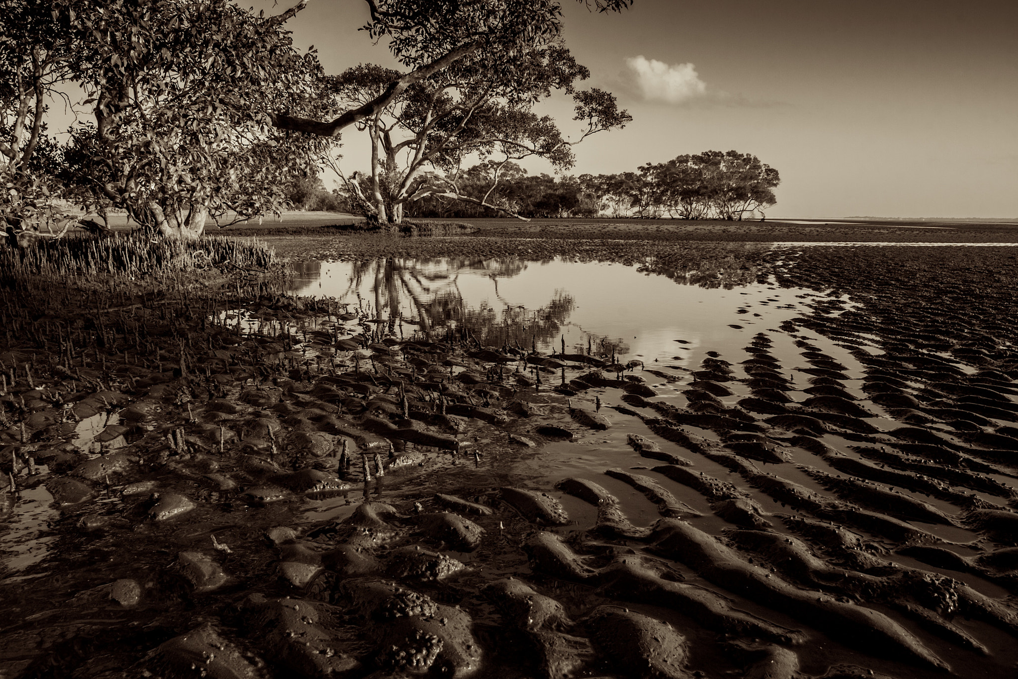 Canon EF-S 18-55mm F3.5-5.6 sample photo. Sand flats at low tide photography