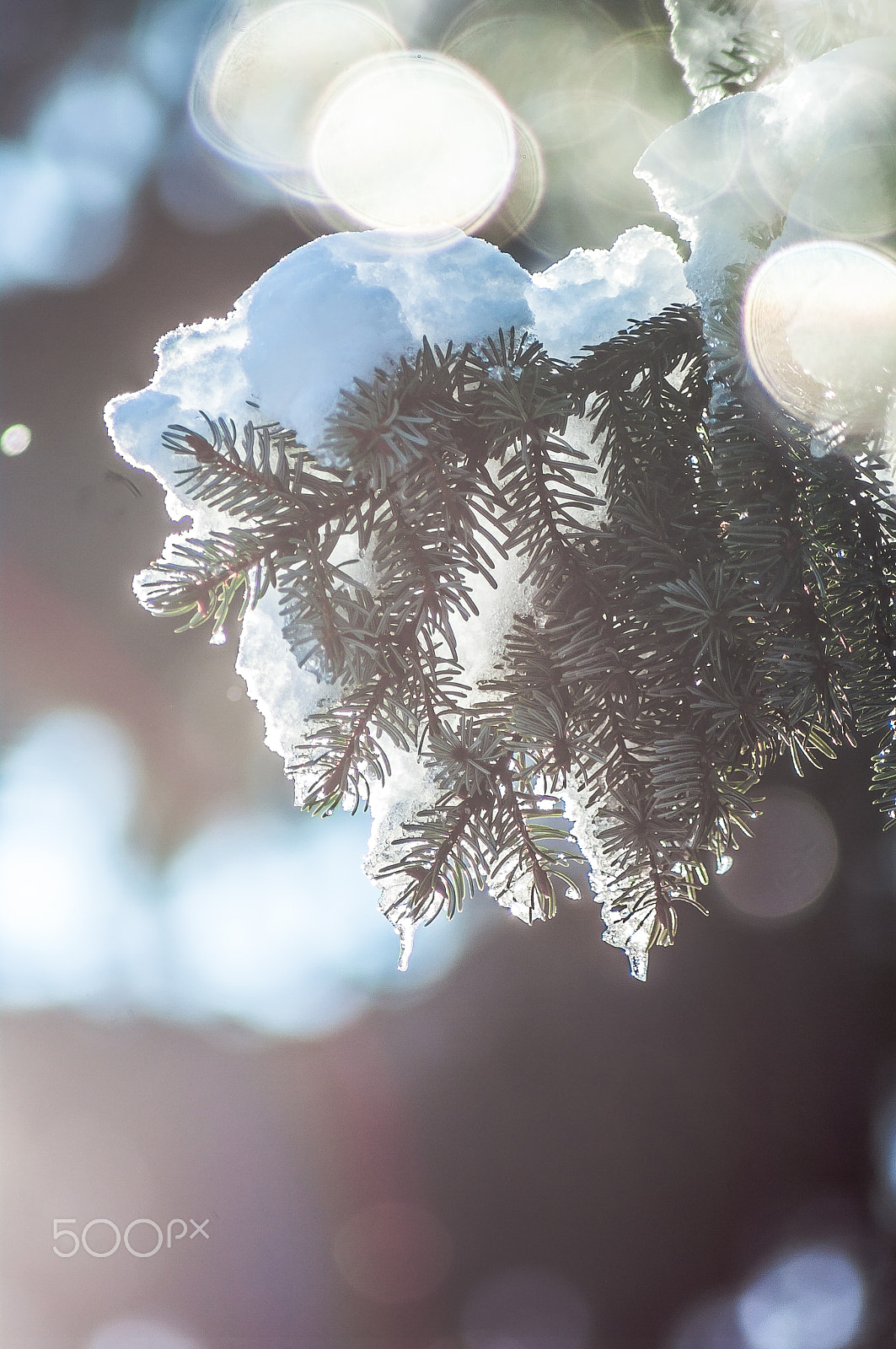Tamron AF 70-300mm F4-5.6 Di LD Macro sample photo. Winter bokehs photography