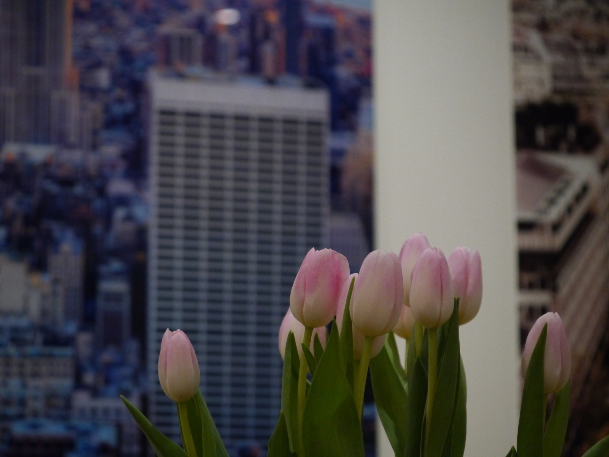 Panasonic Lumix DMC-GX1 sample photo. Pink flowers photography