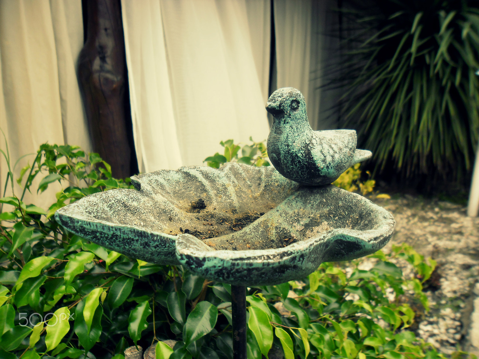 Samsung ES80/ ES81 sample photo. Bird feeder photography