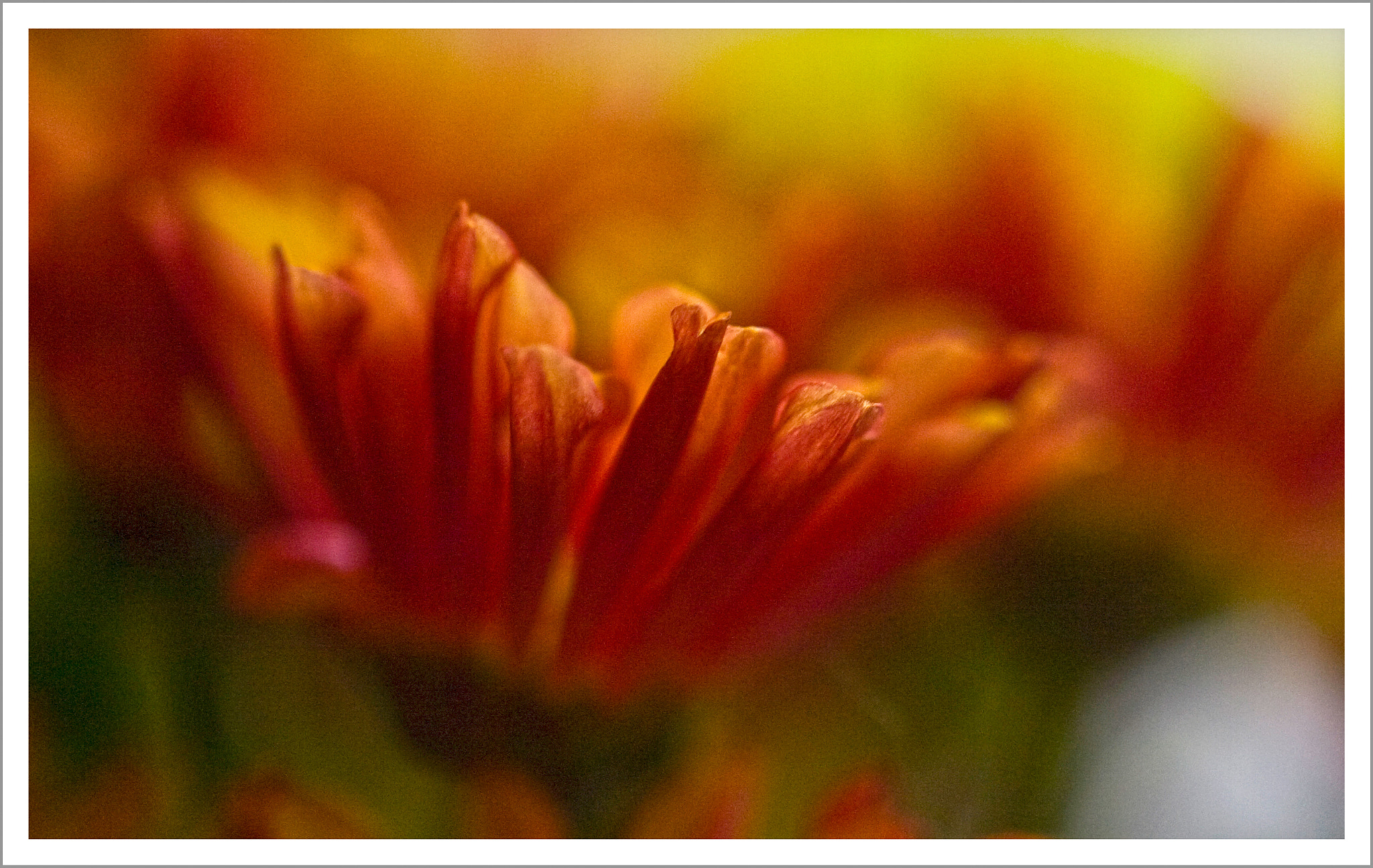 Nikon D2Hs sample photo