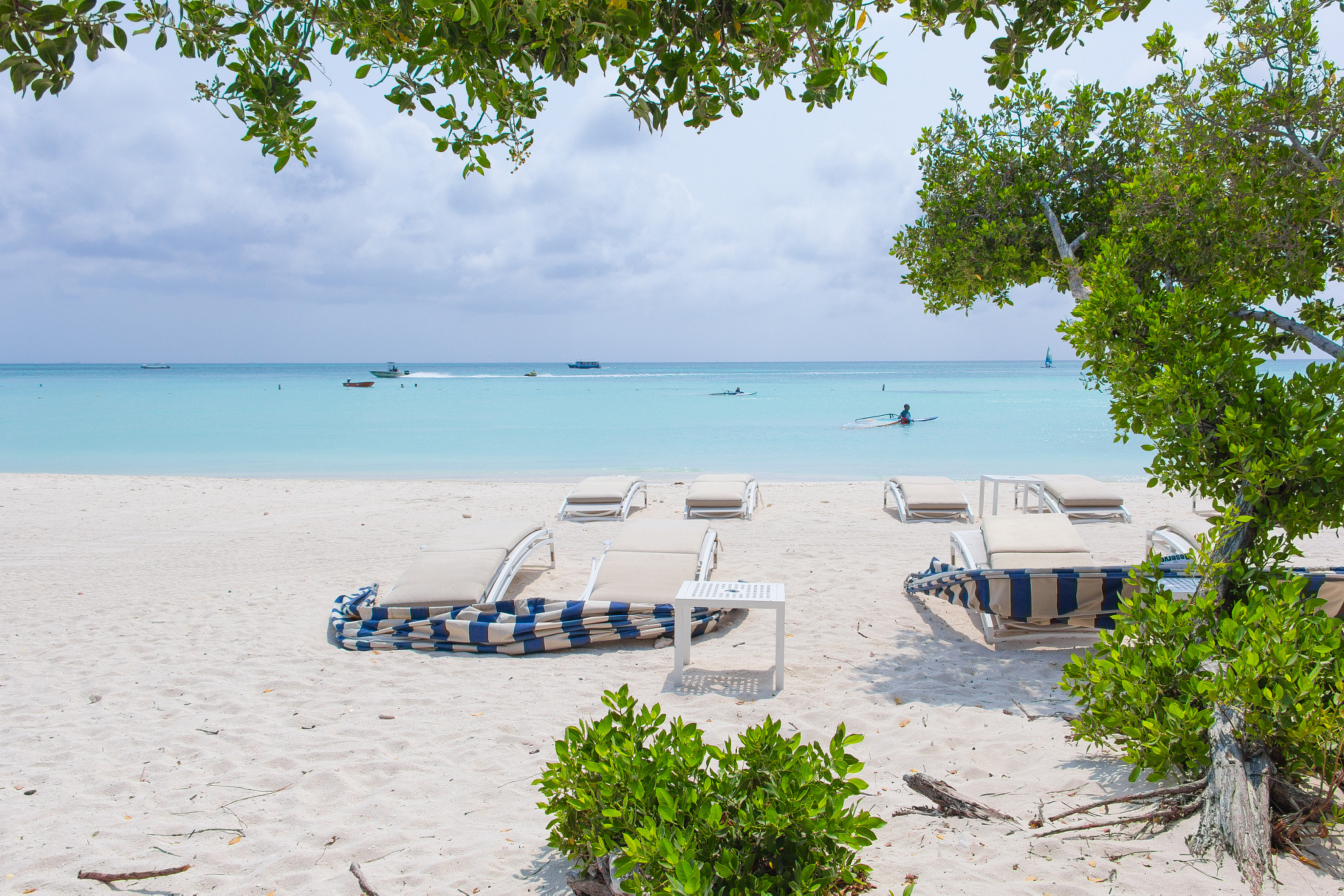 Canon EF-S 18-135mm F3.5-5.6 IS STM sample photo. Aruba - palm beach photography