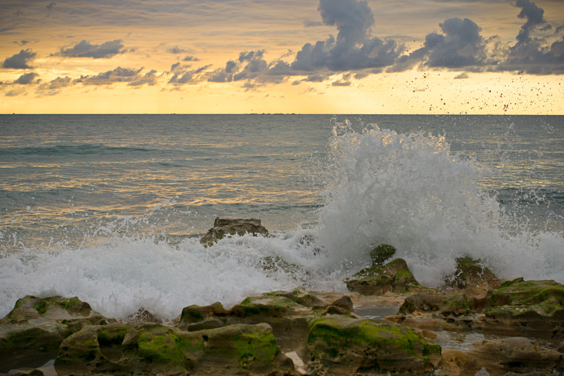 Sony a6000 + Sigma 35mm F1.4 DG HSM Art sample photo. Carlin park wave crash photography