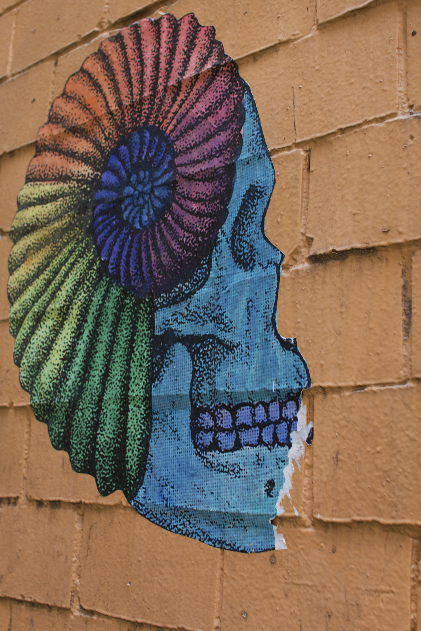 Sigma 30mm F1.4 EX DC HSM sample photo. Shell crowned skull painting photography