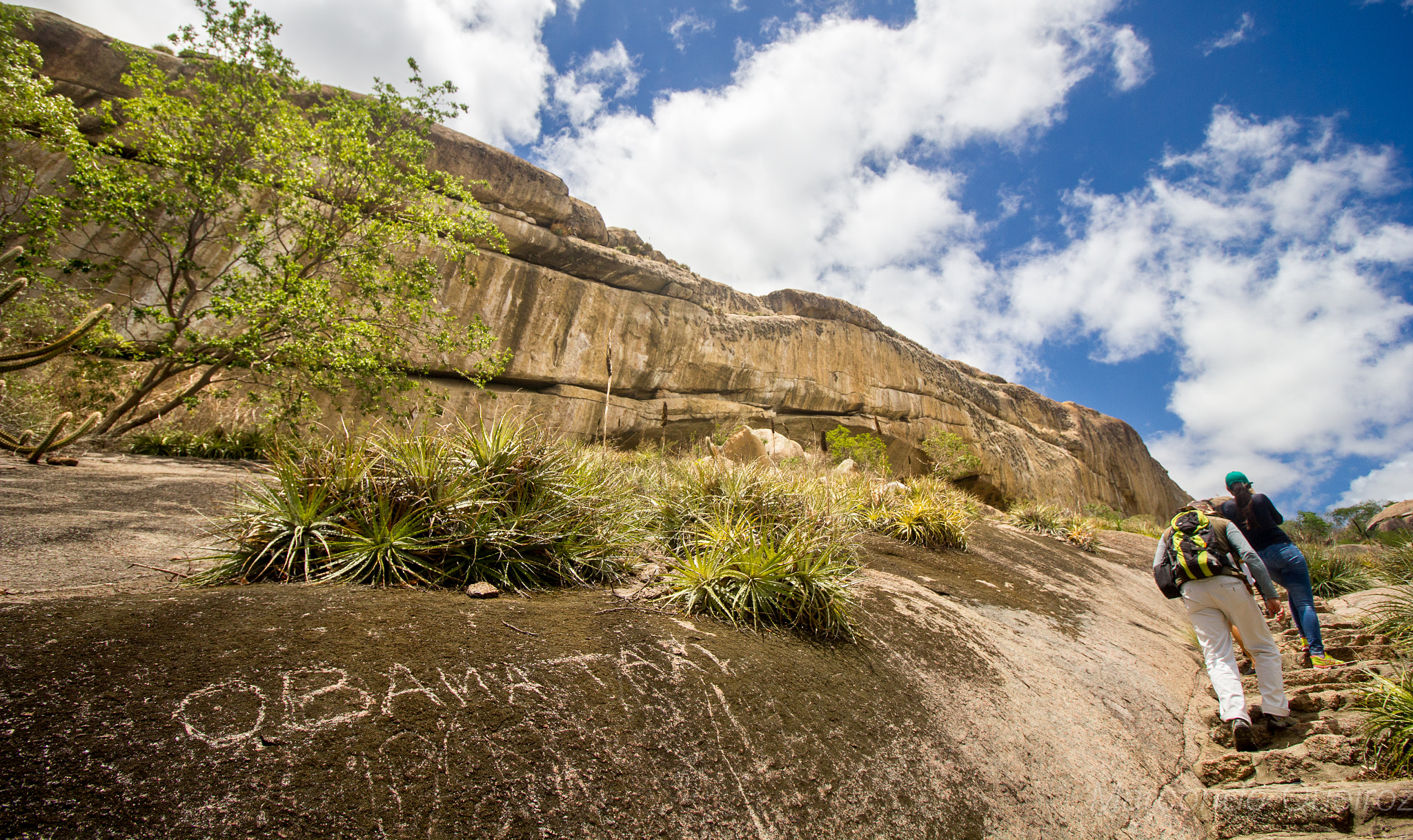 Canon EF-S 10-18mm F4.5–5.6 IS STM sample photo. Img_2695-1.jpg photography