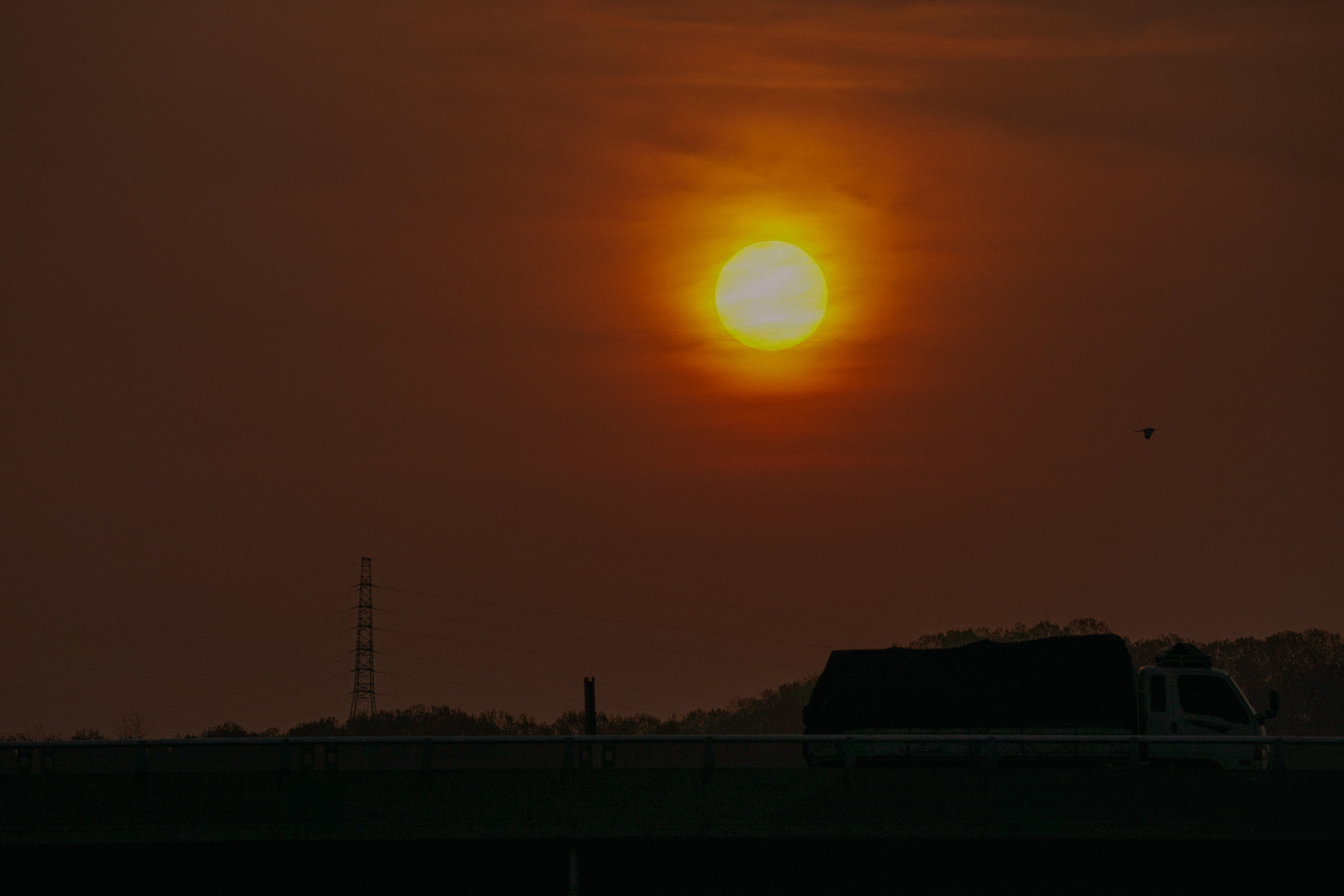 150-600mm F5-6.3 DG OS HSM | Contemporary 015 sample photo. Sun photography