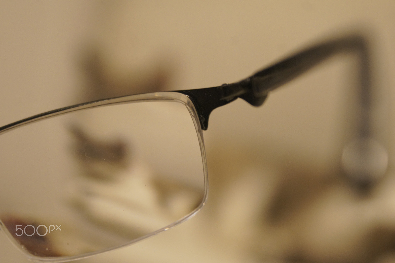 Sony Alpha DSLR-A580 sample photo. Can you see a cat? photography