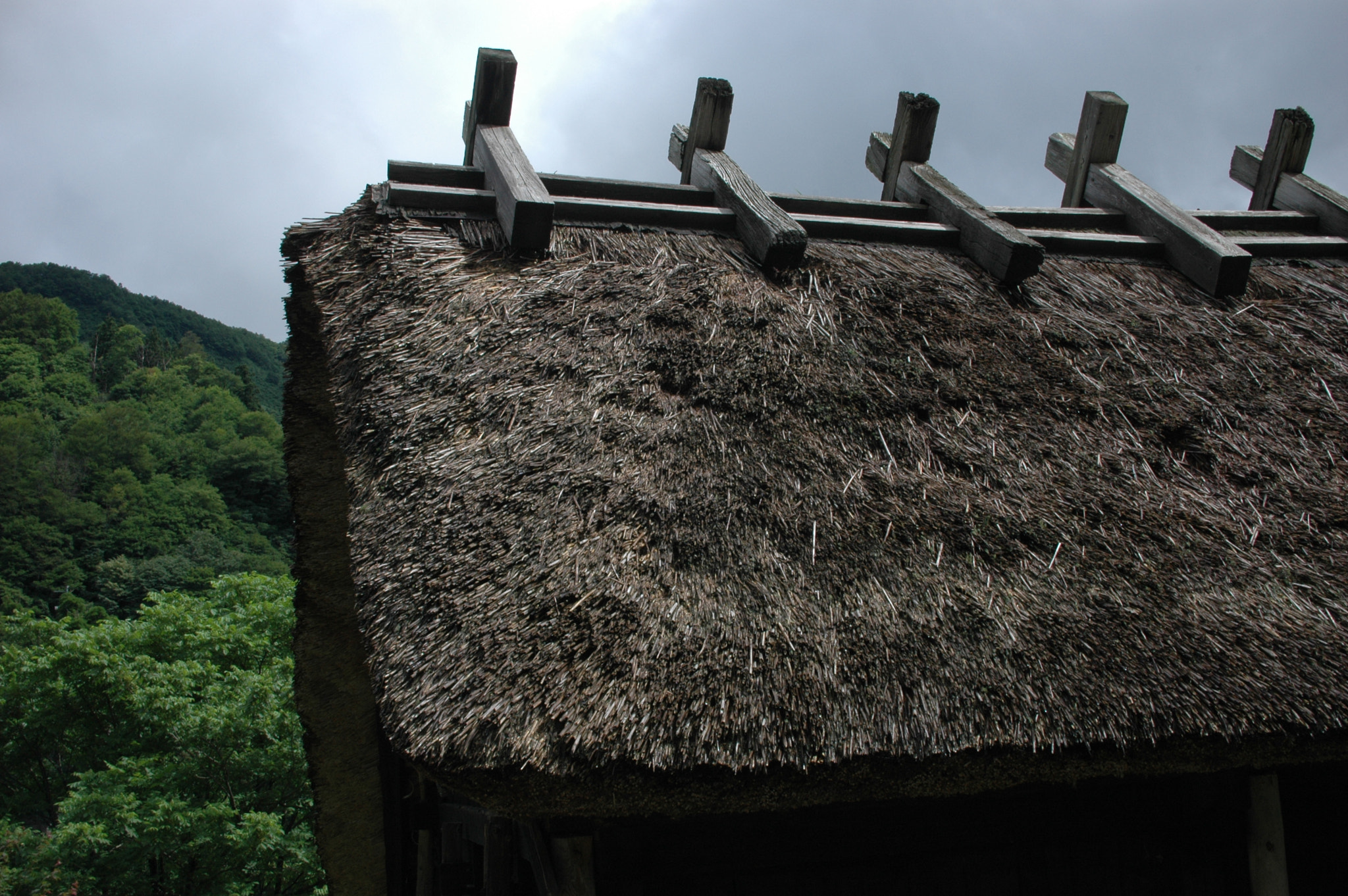 Nikon D70 sample photo. Thatched roof--at tsuruoka photography