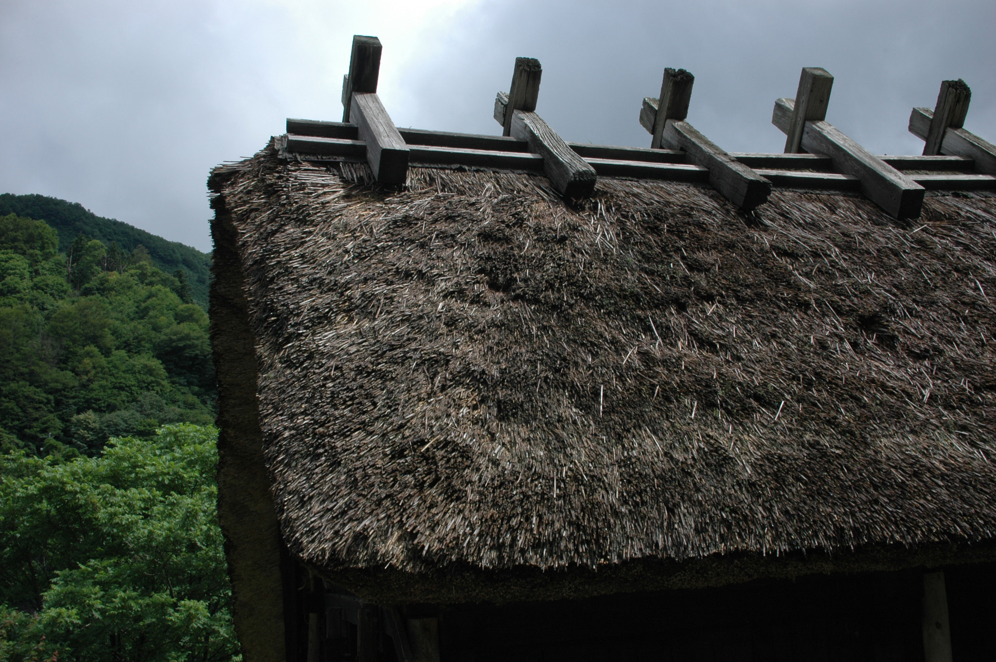 Nikon D70 + Sigma 30mm F1.4 EX DC HSM sample photo. Thatched roof--at tsuruoka photography