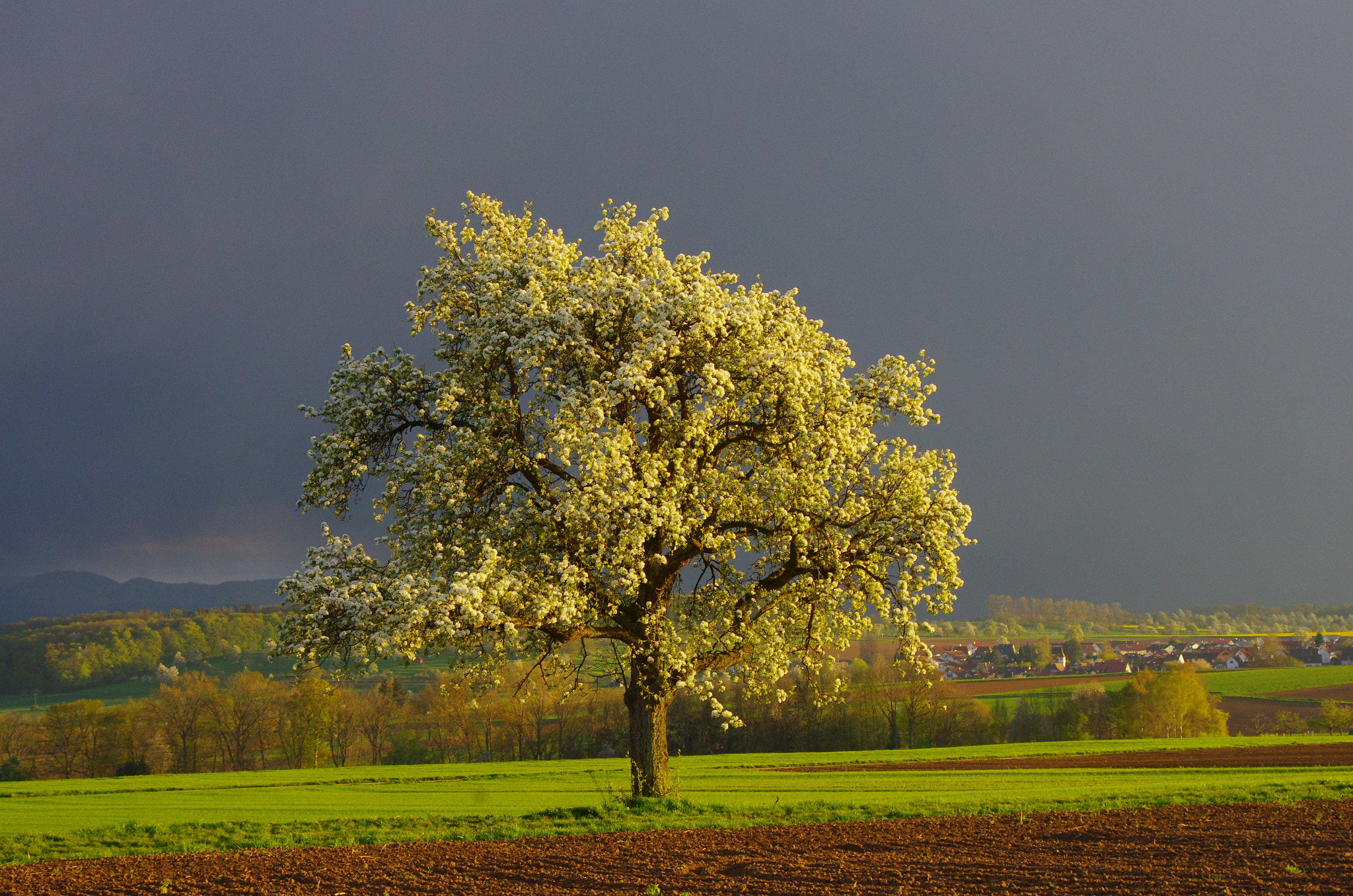 smc PENTAX-DA L 55-300mm F4-5.8 ED sample photo. Last sunrays before the big rain photography