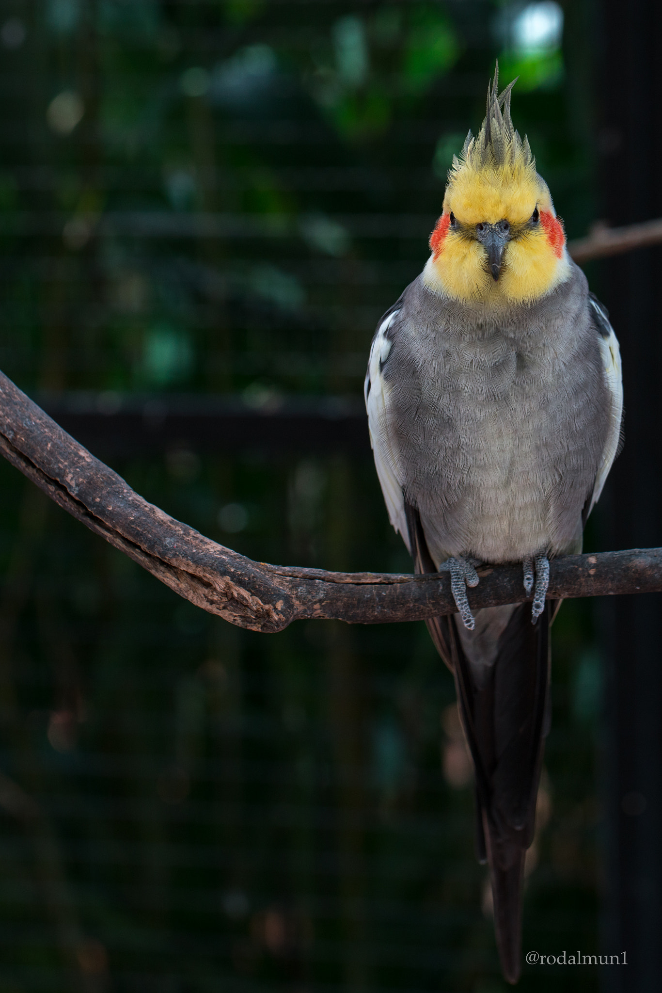 Sony a7R II + Canon EF 100mm F2.8L Macro IS USM sample photo. Casual photography