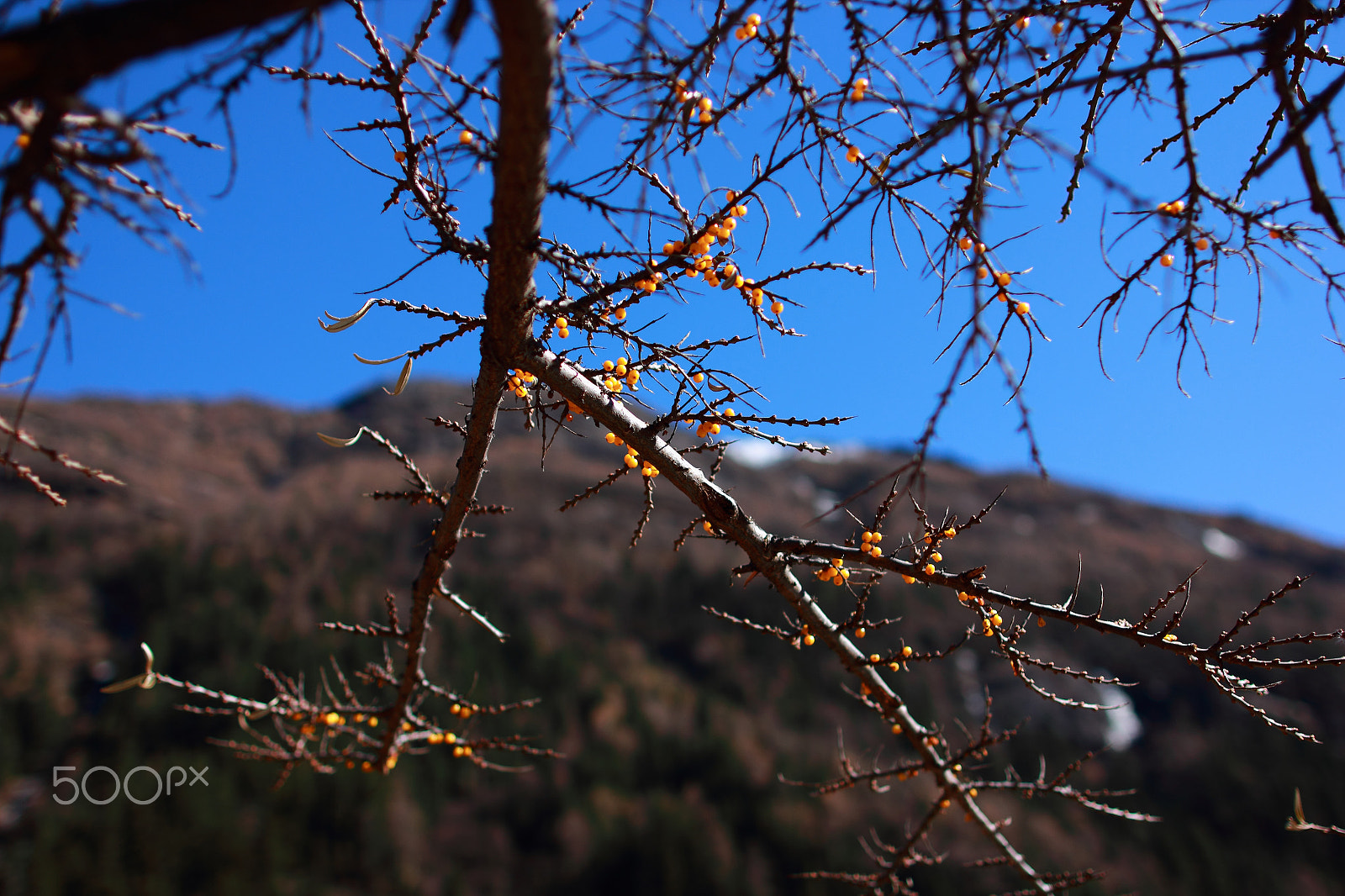 Canon EOS 550D (EOS Rebel T2i / EOS Kiss X4) + Canon EF 24mm F1.4L II USM sample photo. Mountain photography