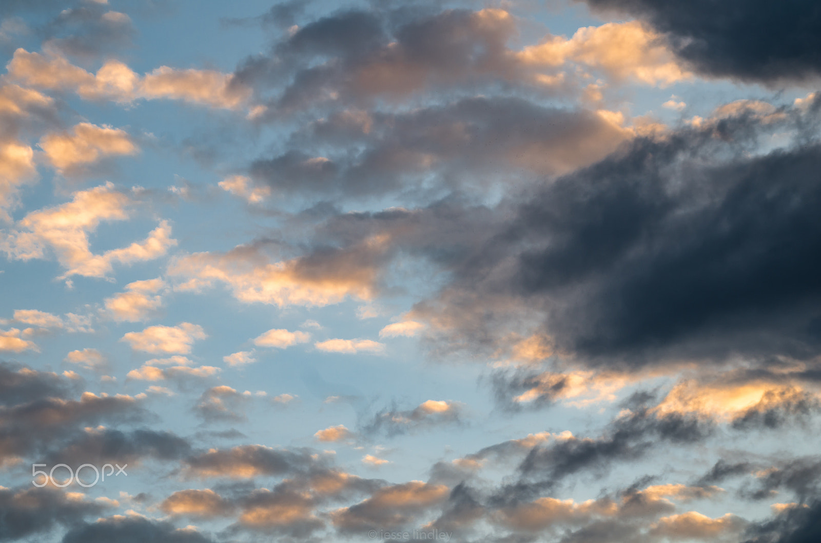 Pentax K-30 + A Series Lens sample photo. _igp5347.jpg photography