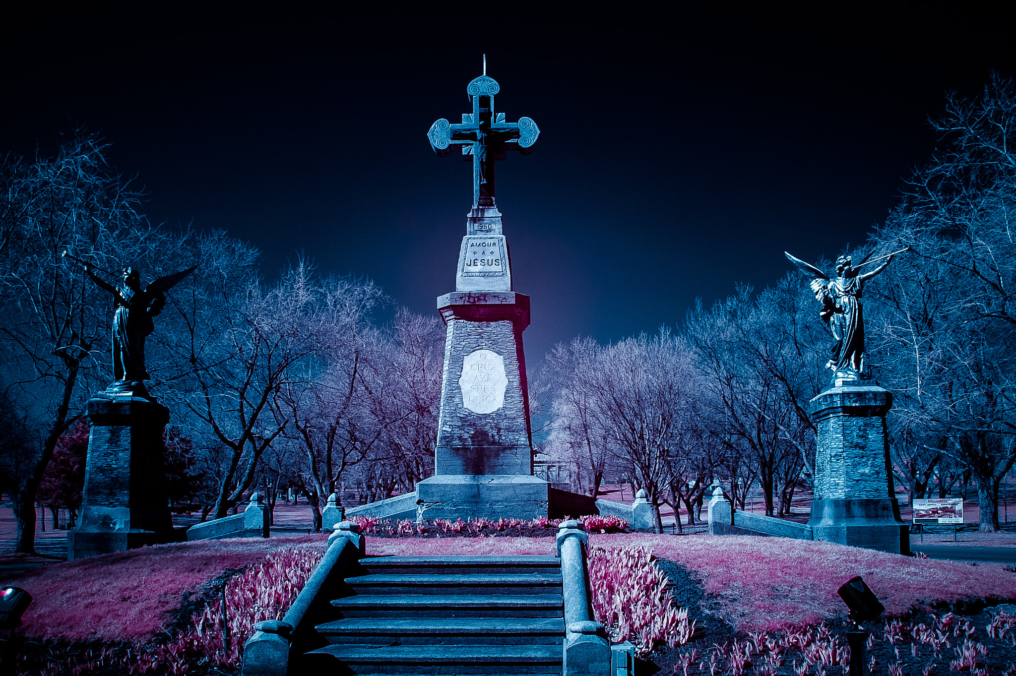 Nikon D700 + Tamron SP AF 17-50mm F2.8 XR Di II VC LD Aspherical (IF) sample photo. Infrared angels photography