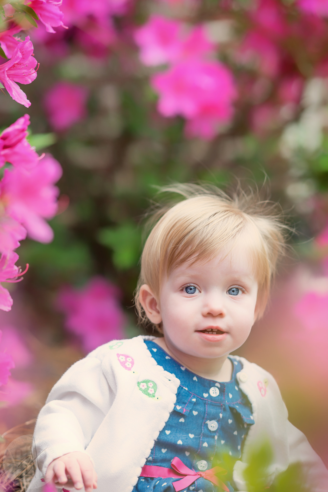 Sony Sonnar T* 135mm F1.8 ZA sample photo. Pathway montesorri school kids photography