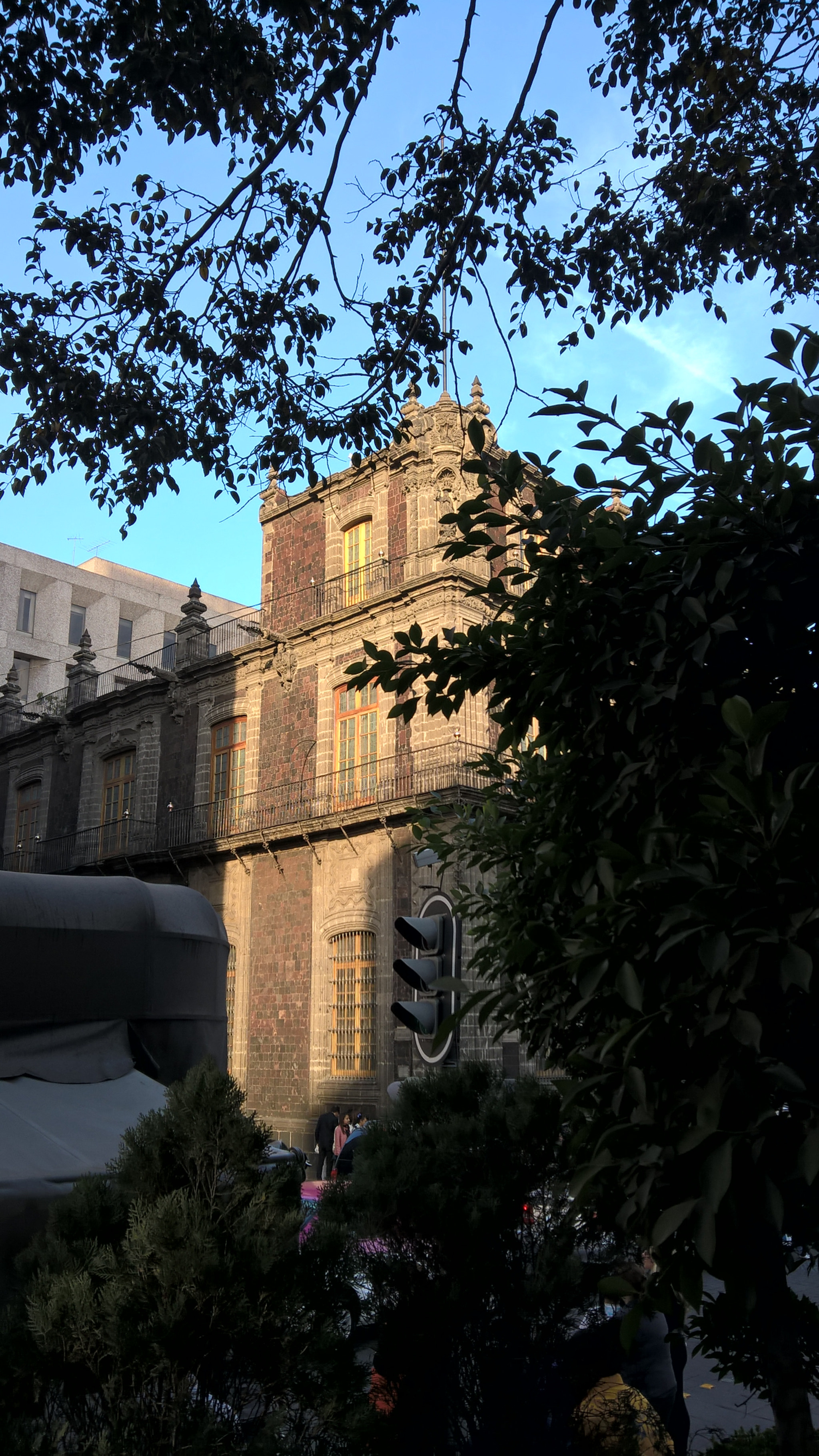 Microsoft Lumia 640 XL sample photo. Ciudad entre árboles  photography