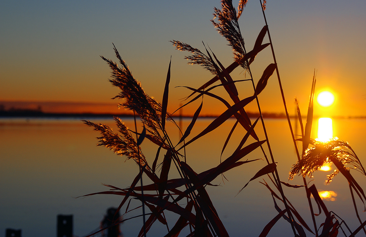 Pentax K200D sample photo. Sunset denmark photography