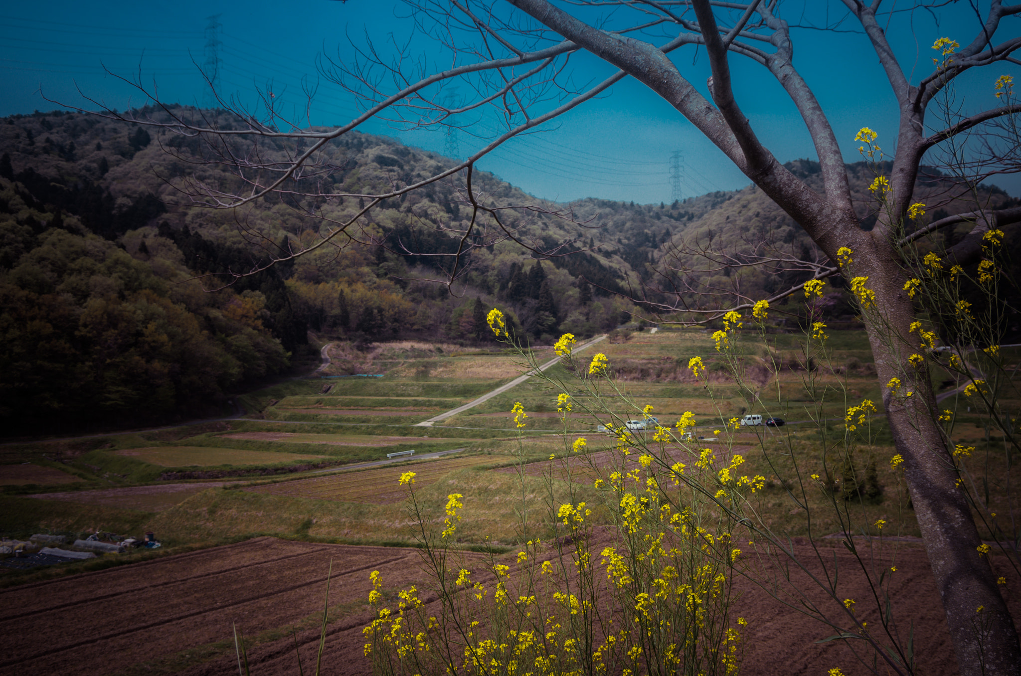 Pentax smc DA 16-45mm F4 ED AL sample photo. あ photography
