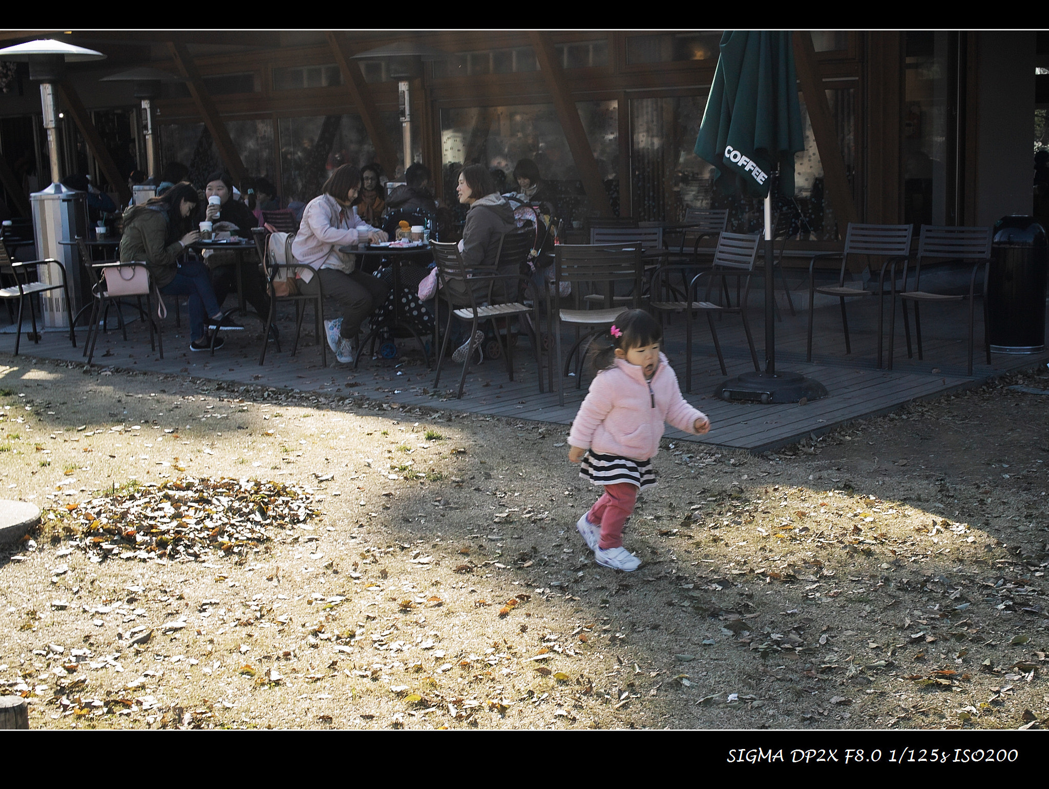 Sigma DP2x sample photo. 午后阳光 photography