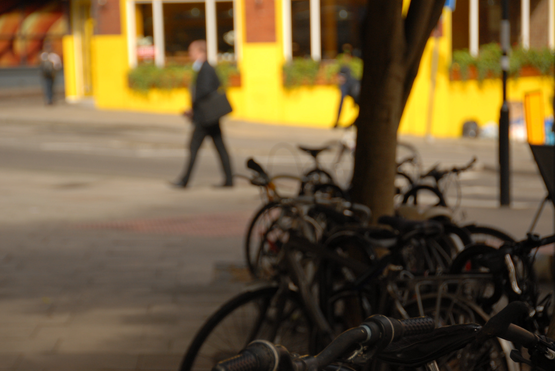 Nikon D200 sample photo. B photography