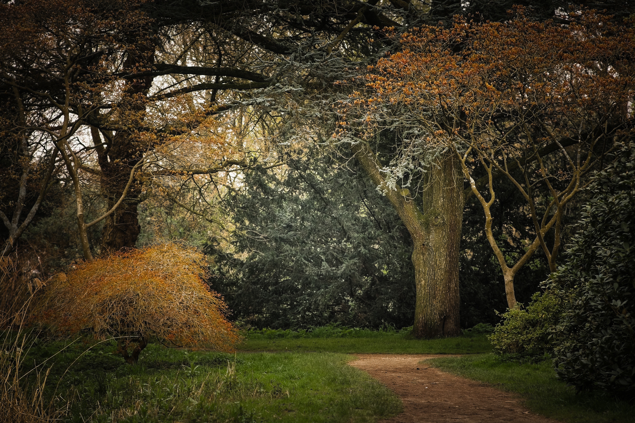 Canon EOS 5D + Canon EF 135mm F2.8 SF sample photo. Park frankendael photography