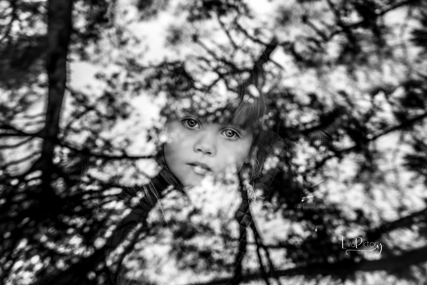 Sigma 18-35mm f/1.8 DC HSM sample photo. In the forest photography
