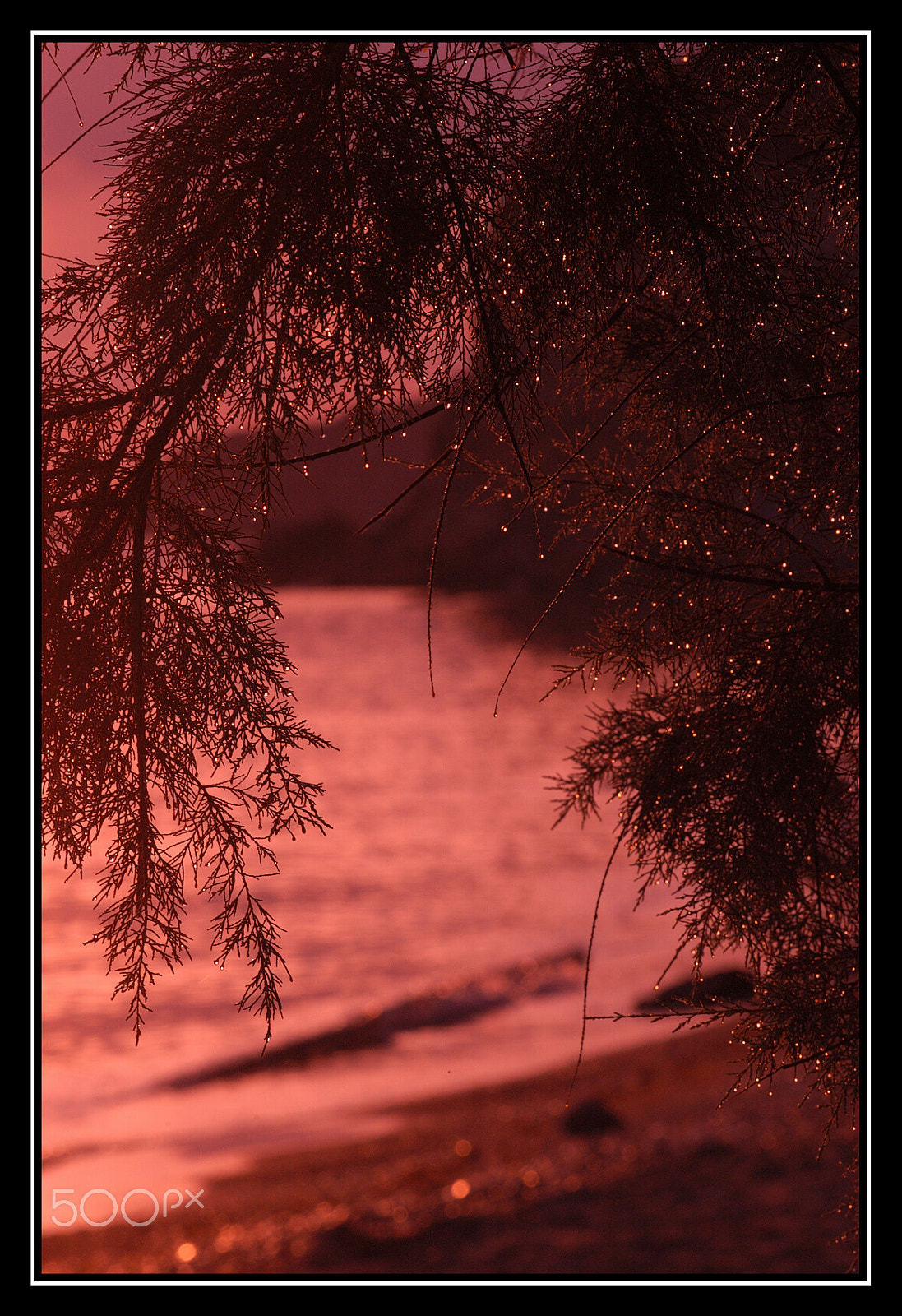 Nikon D100 sample photo. Sunset photography