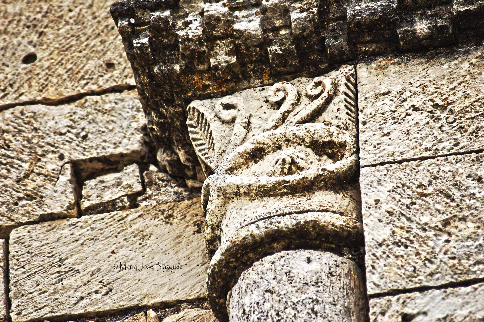 Nikon D40 sample photo. The eye of horus photography