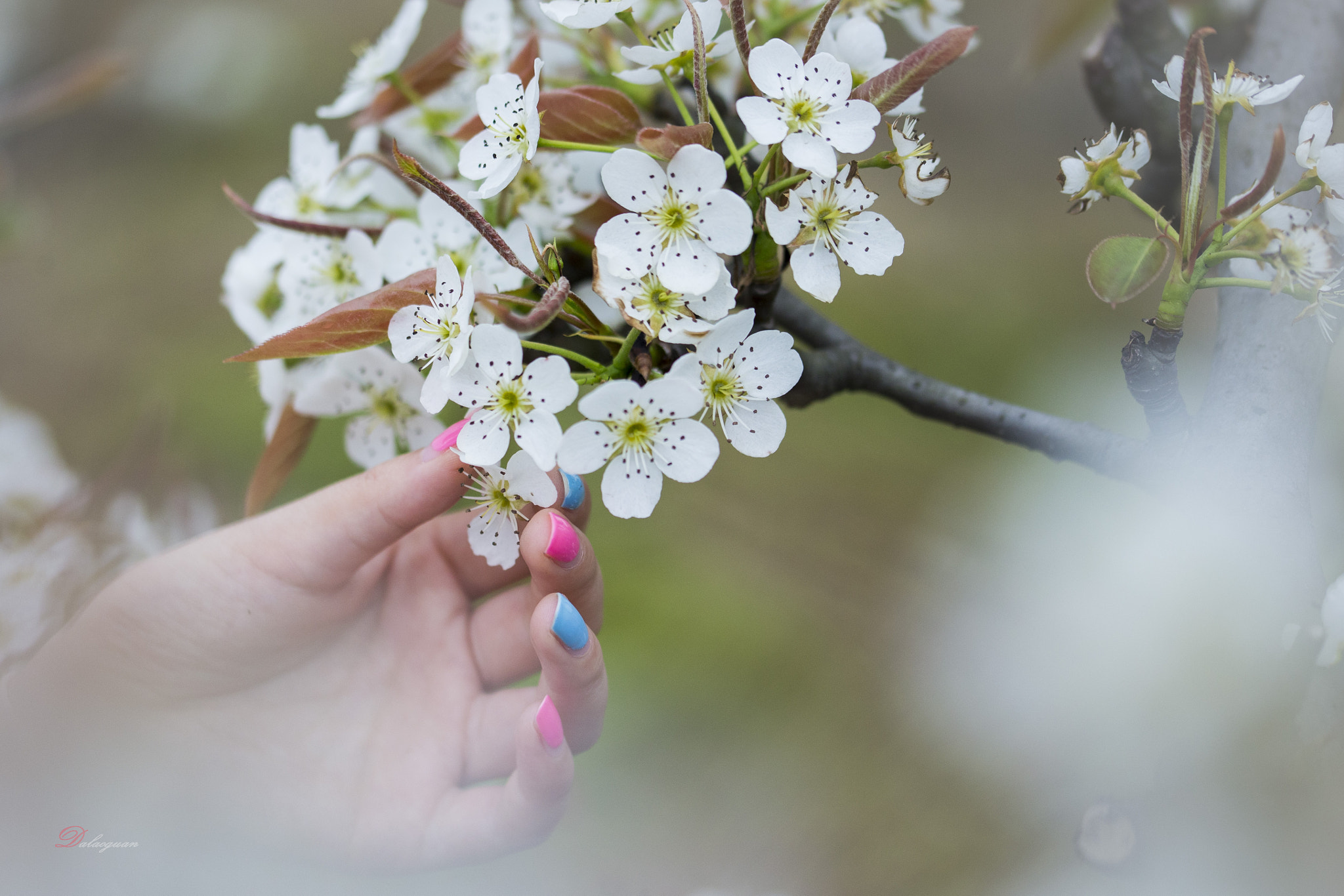 Sigma 105mm F2.8 EX DG OS HSM sample photo