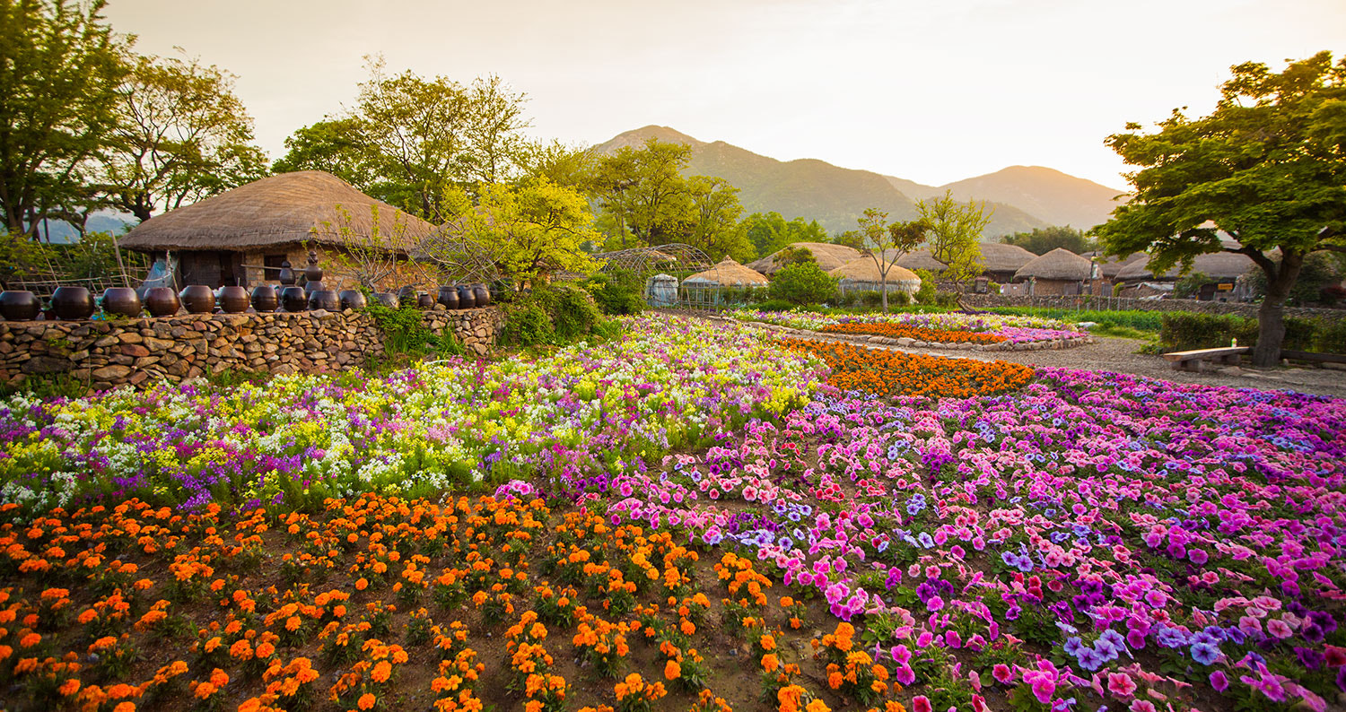 Sigma 15-30mm f/3.5-4.5 EX DG Aspherical sample photo. A korean village in spring photography