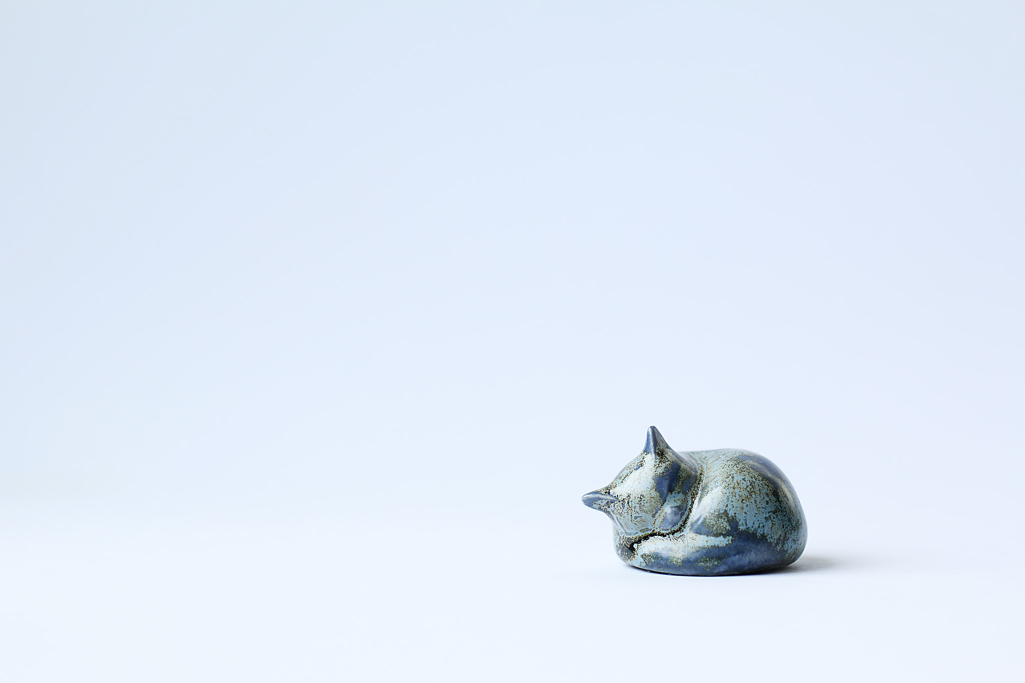 Canon EOS 70D + Canon EF 50mm F2.5 Macro sample photo. Sleepy cat photography