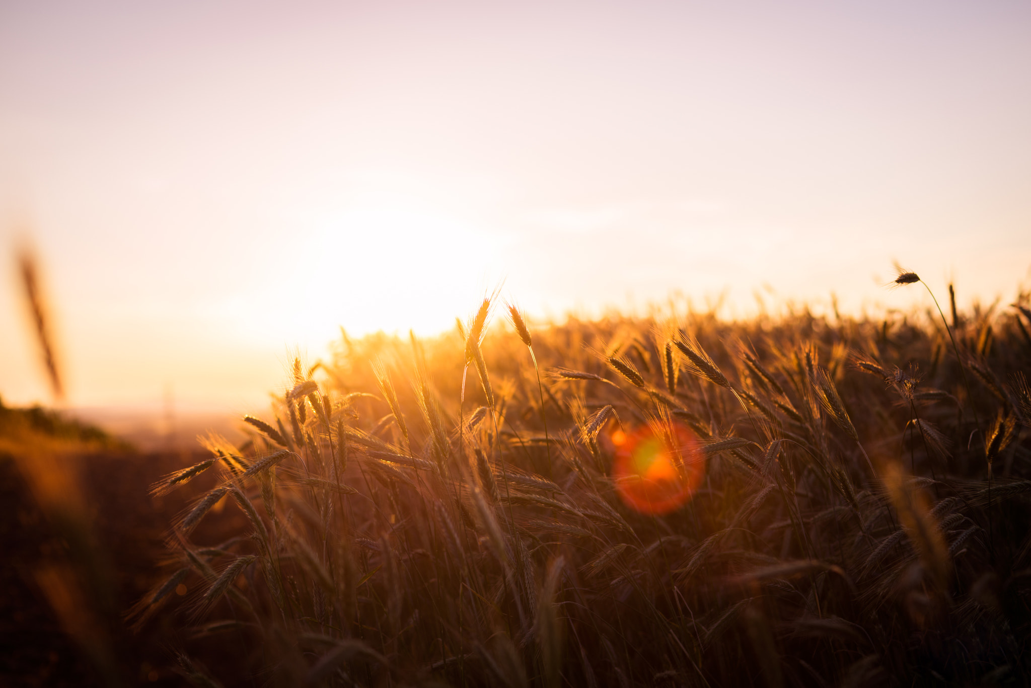 Sony a7R + Sony 50mm F1.4 sample photo. Last summer photography