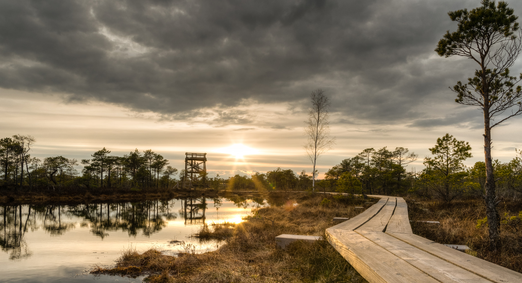 Nikon D5300 + Samyang 16mm F2 ED AS UMC CS sample photo. Kemeri bog photography