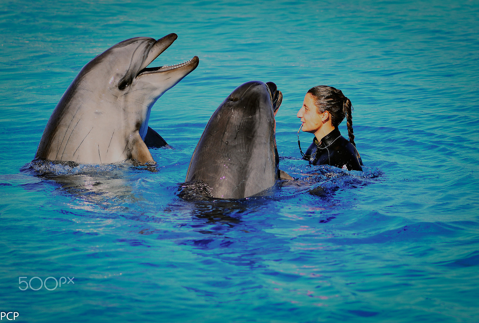 Nikon D800 + AF Nikkor 180mm f/2.8 IF-ED sample photo. Dancing with dolphins photography