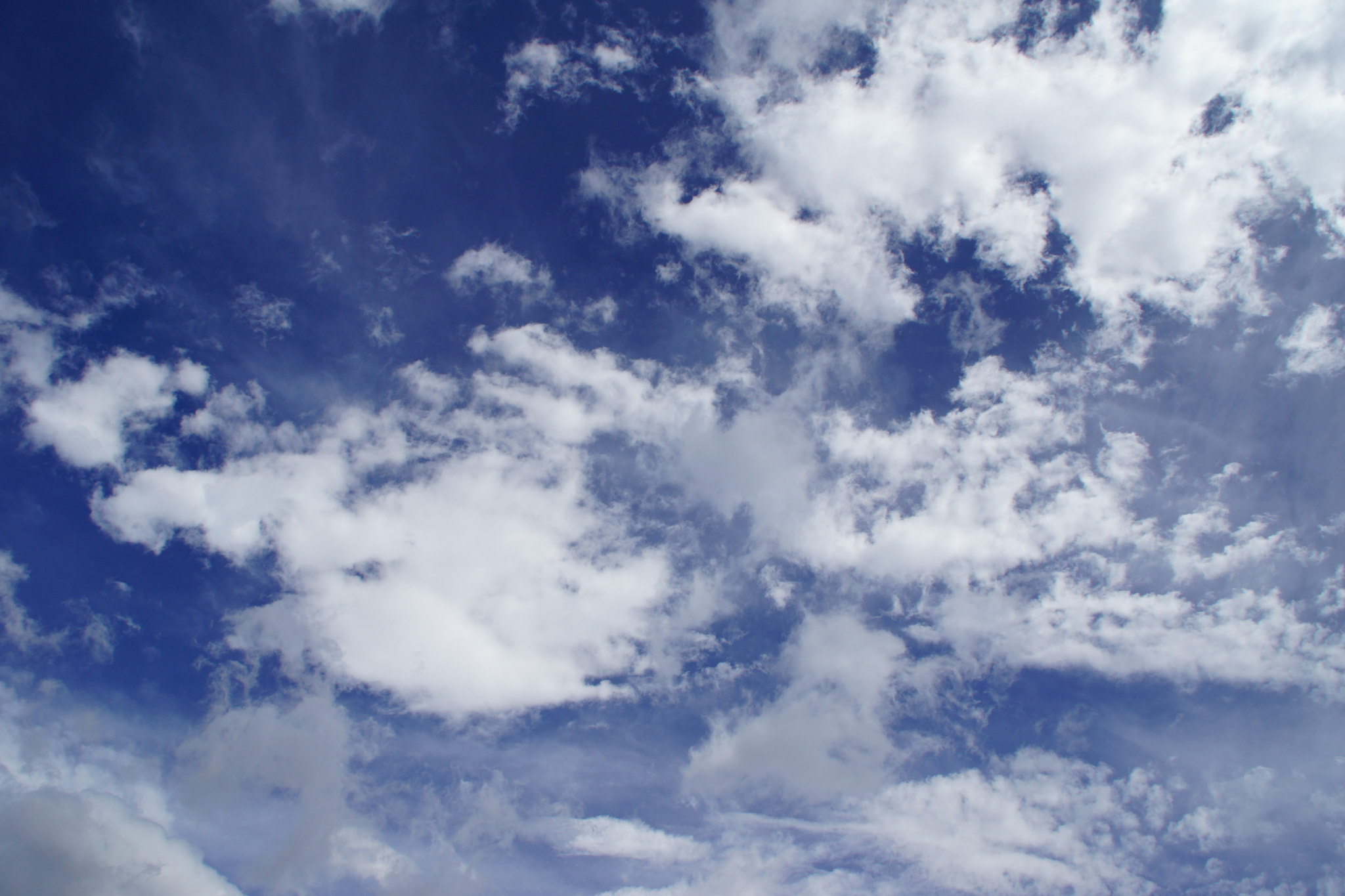 Sony SLT-A65 (SLT-A65V) sample photo