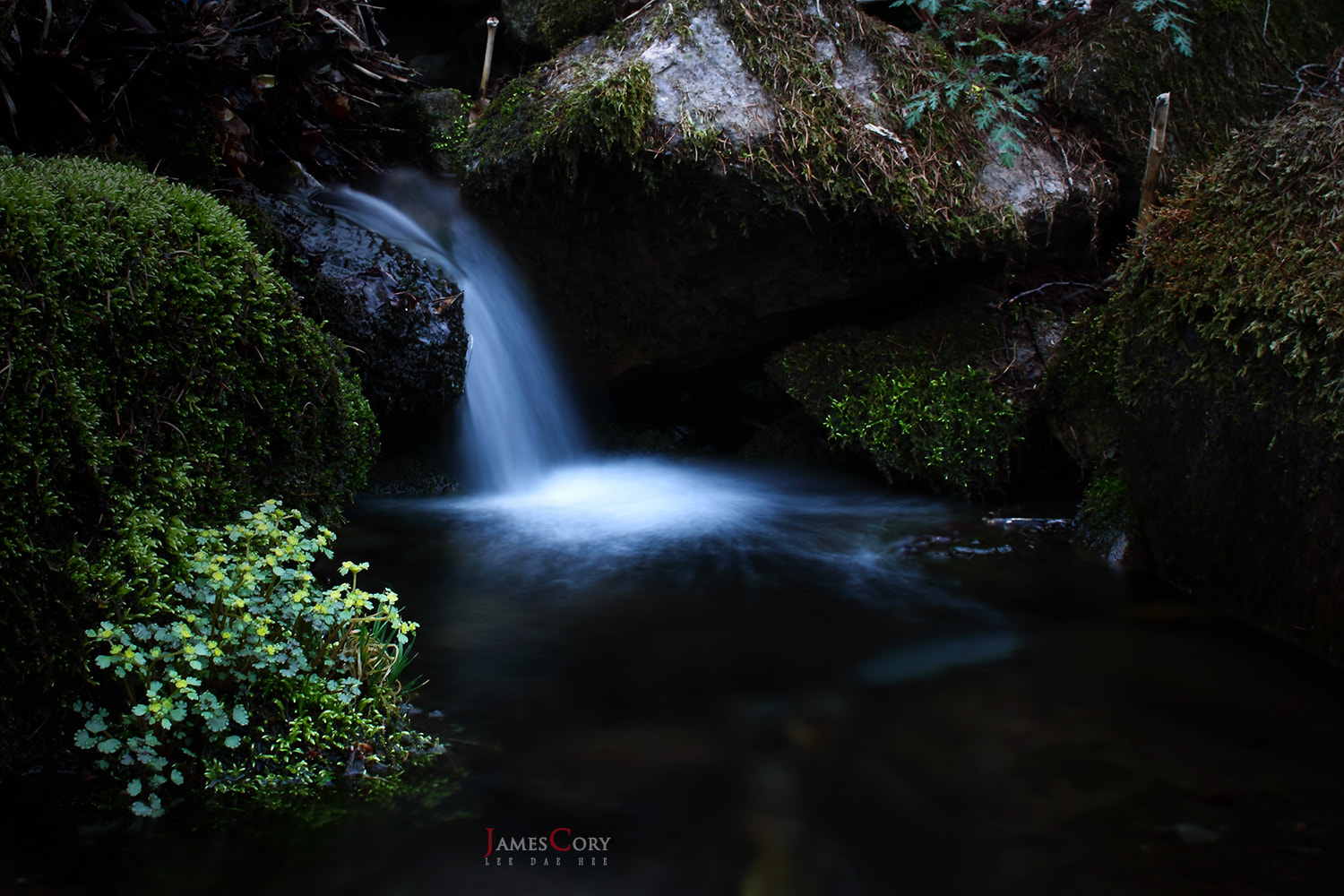 Sigma 30mm F1.4 EX DC HSM sample photo. Water..... photography