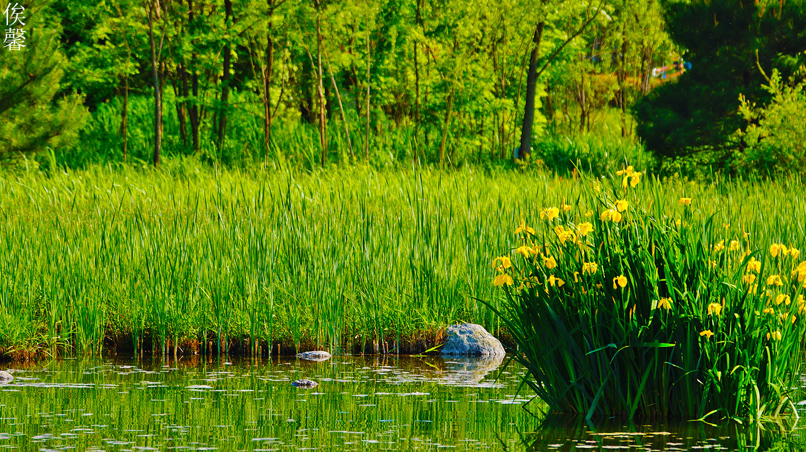Sony 70-300mm F4.5-5.6 G SSM sample photo. Blue landscapes photography