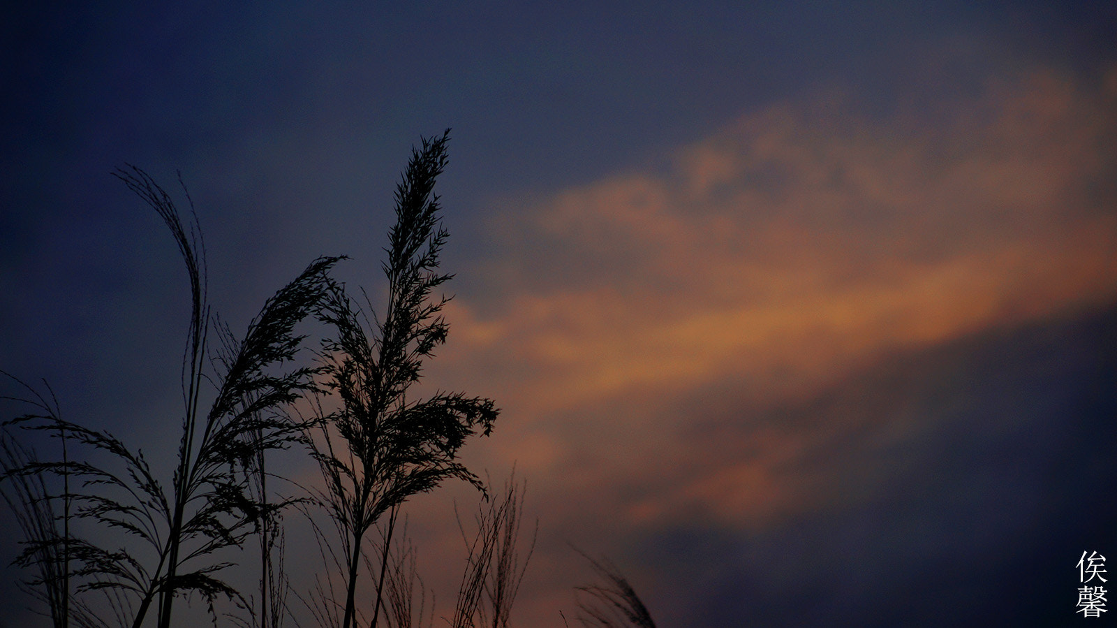 Sony SLT-A58 + Sony Vario-Sonnar T* DT 16-80mm F3.5-4.5 ZA sample photo. The darkness of sunset photography