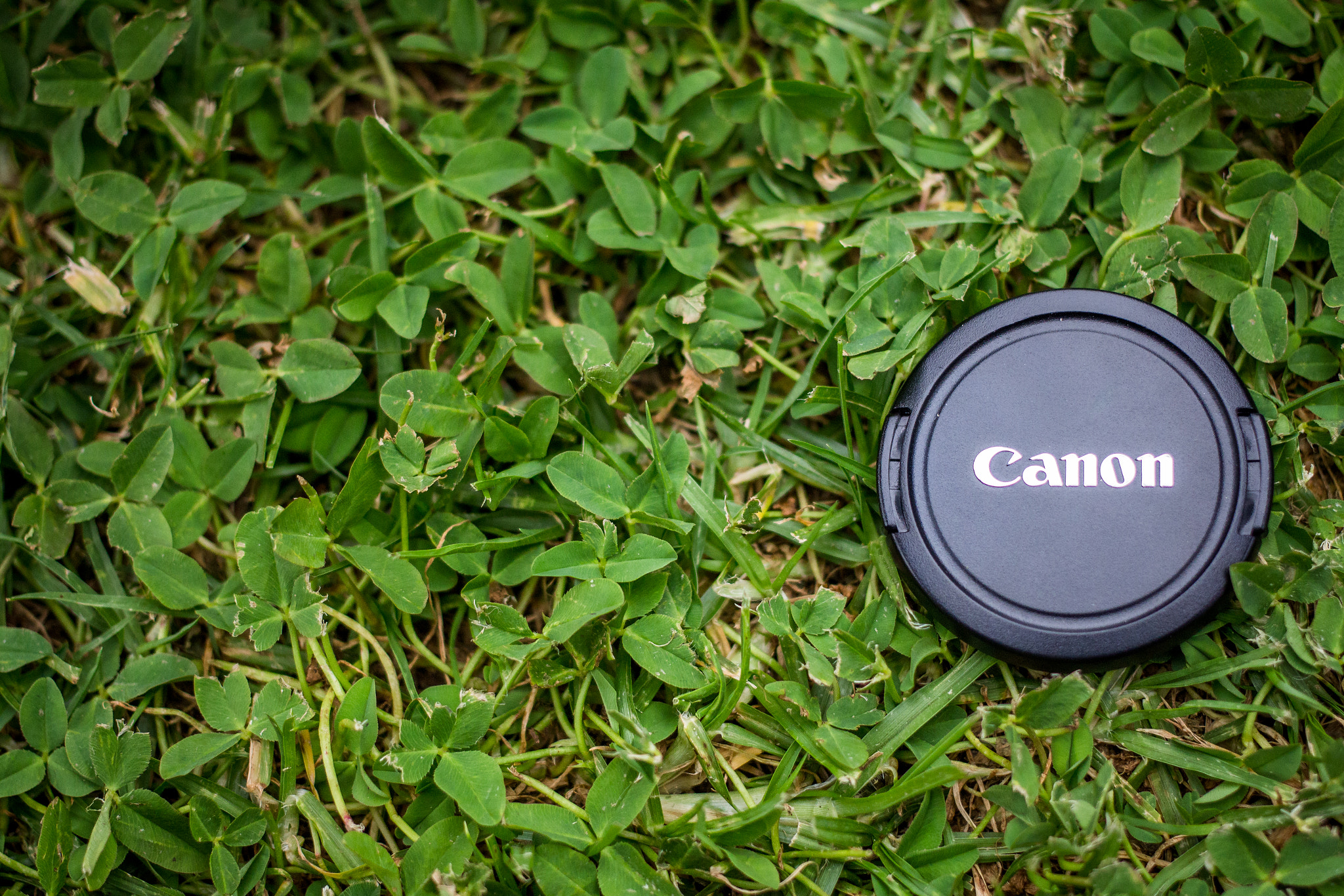 Canon EF 40mm F2.8 STM sample photo. Canon len cap photography