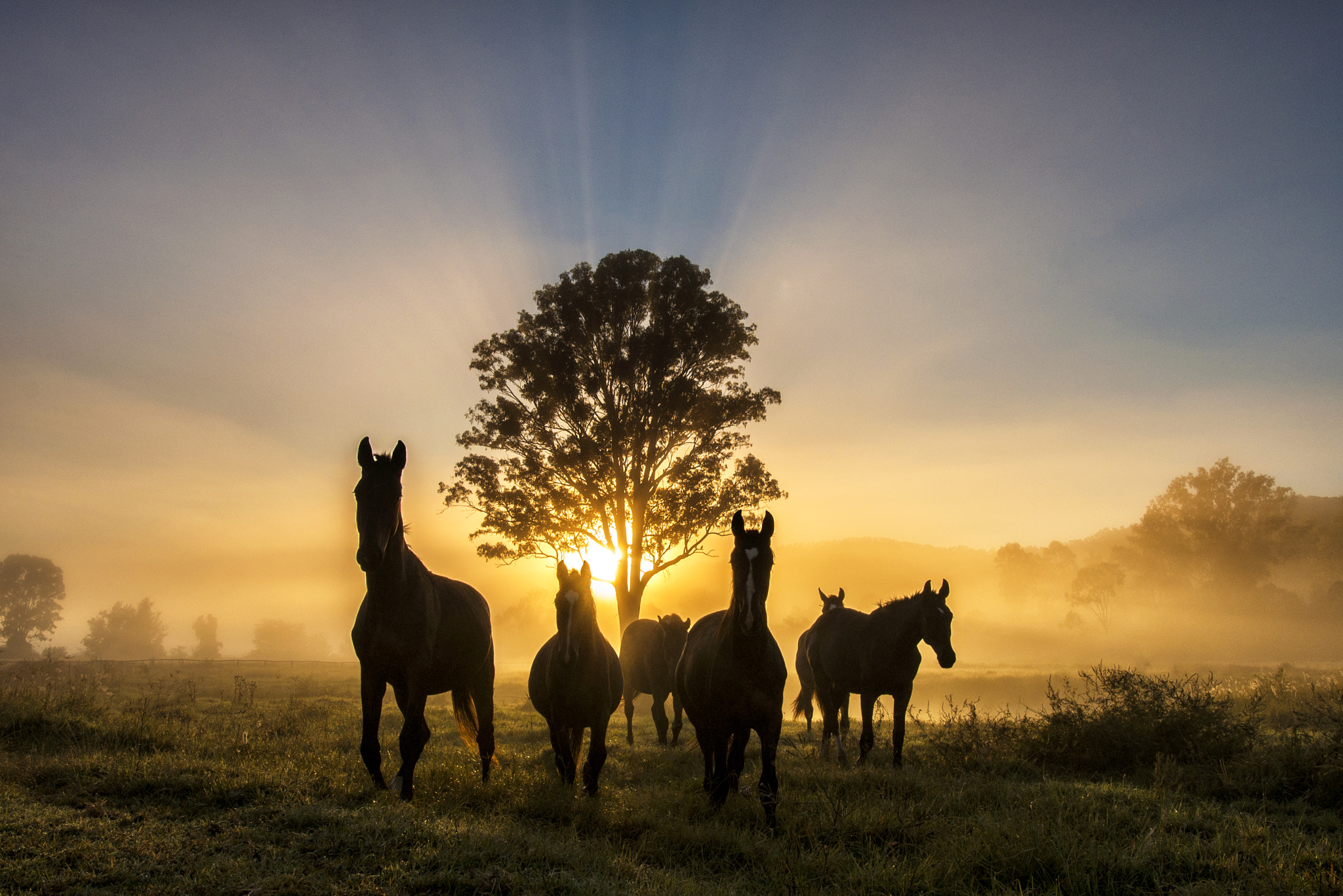 Nikon D610 + Sigma 18-35mm F1.8 DC HSM Art sample photo. Sunrise spectators photography