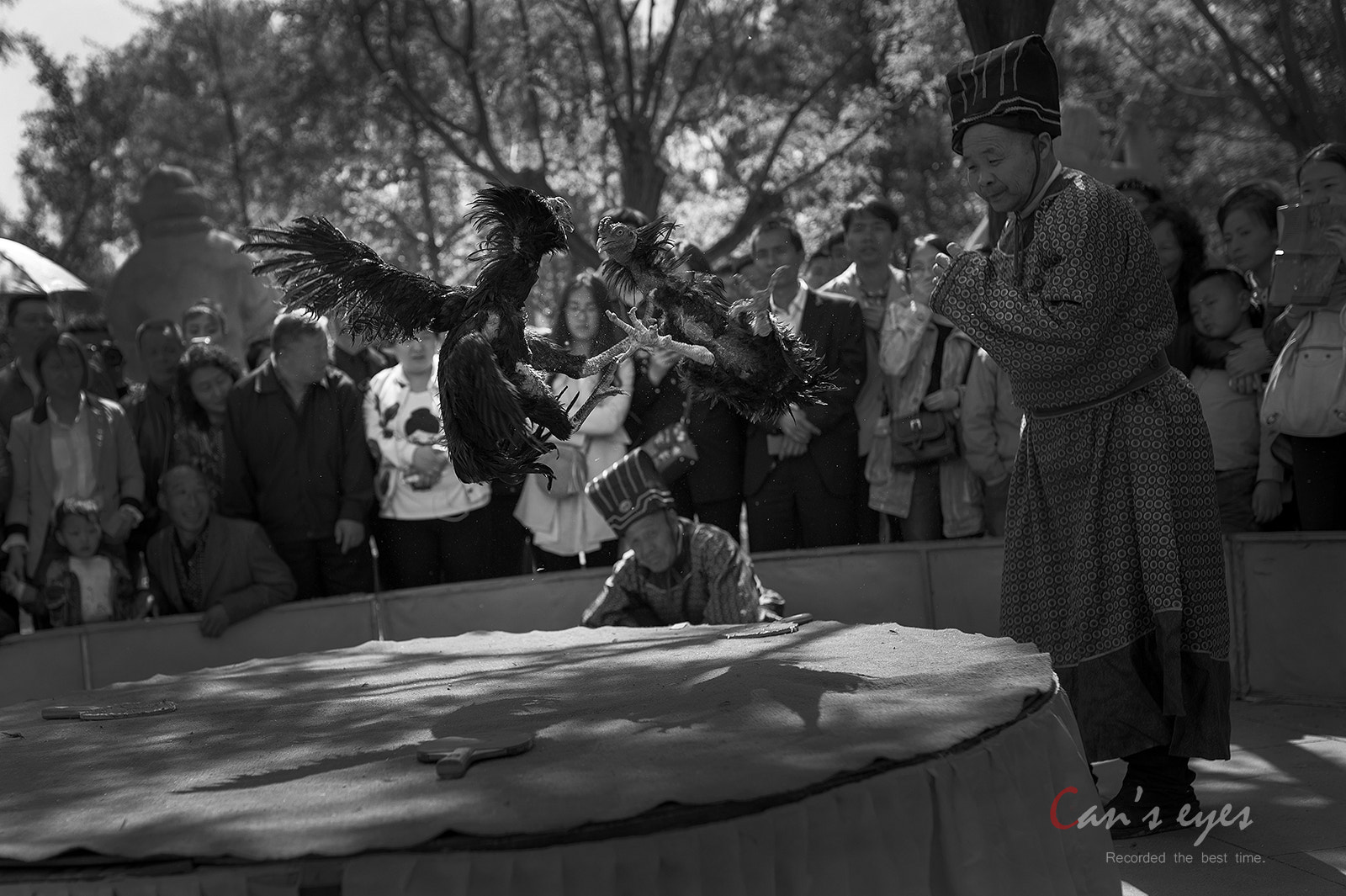 Nikon Df + Sigma 35mm F1.4 DG HSM Art sample photo. Gamecock photography