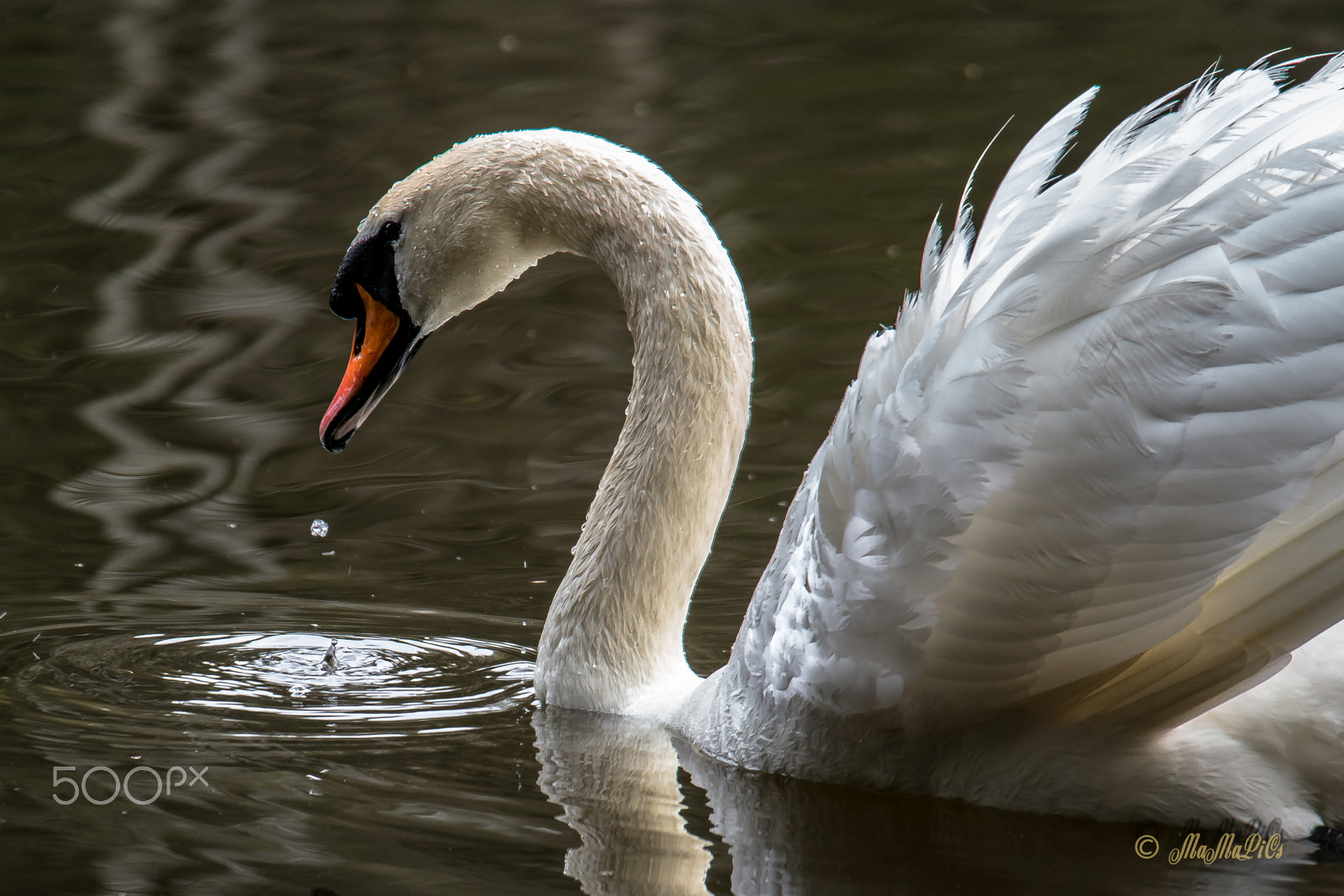Samsung NX300 + Samsung NX 50-200mm F4-5.6 ED OIS sample photo. Aufgetaucht photography