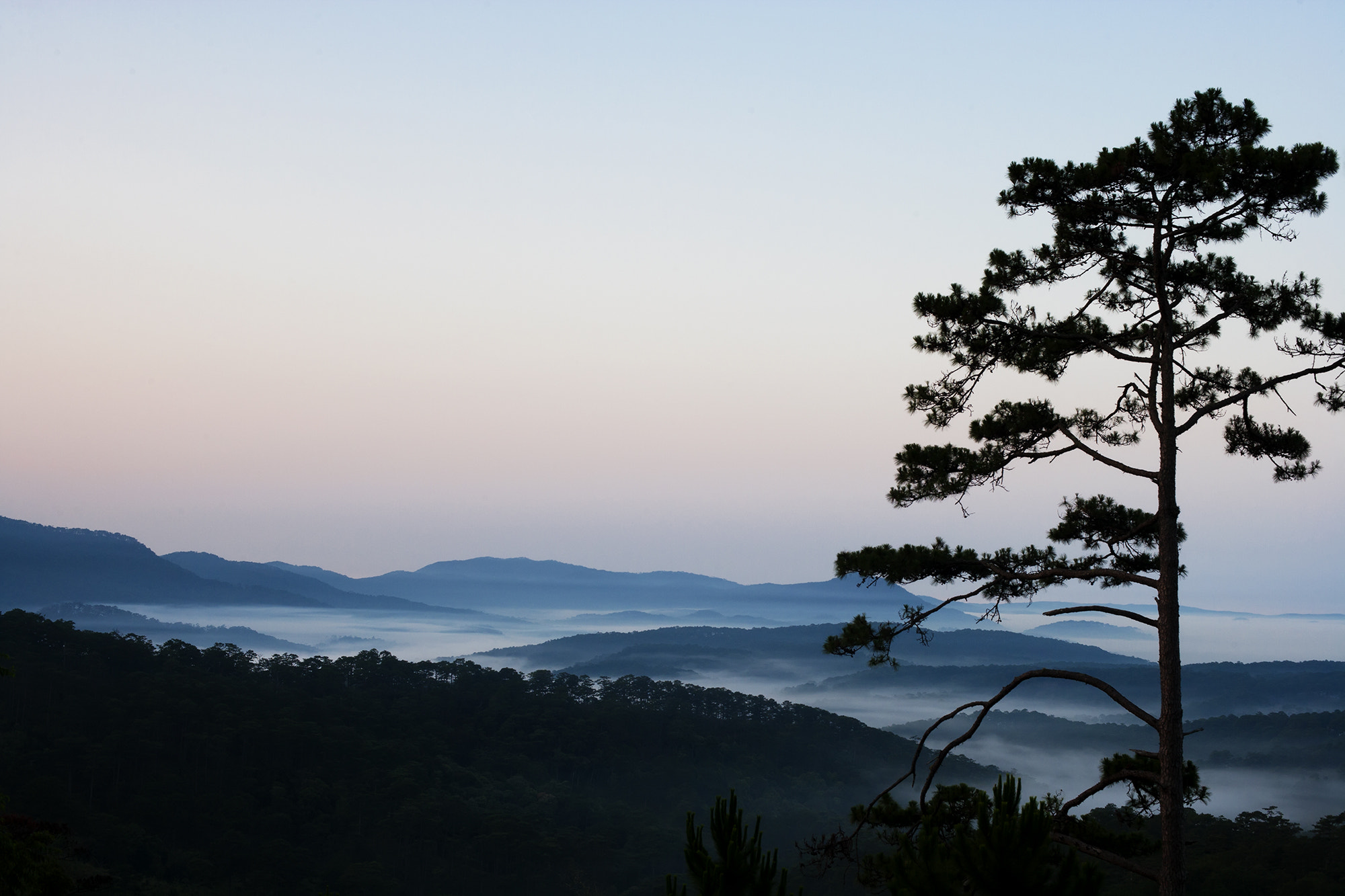 Canon EF 50mm F1.4 USM sample photo. Dalat photography