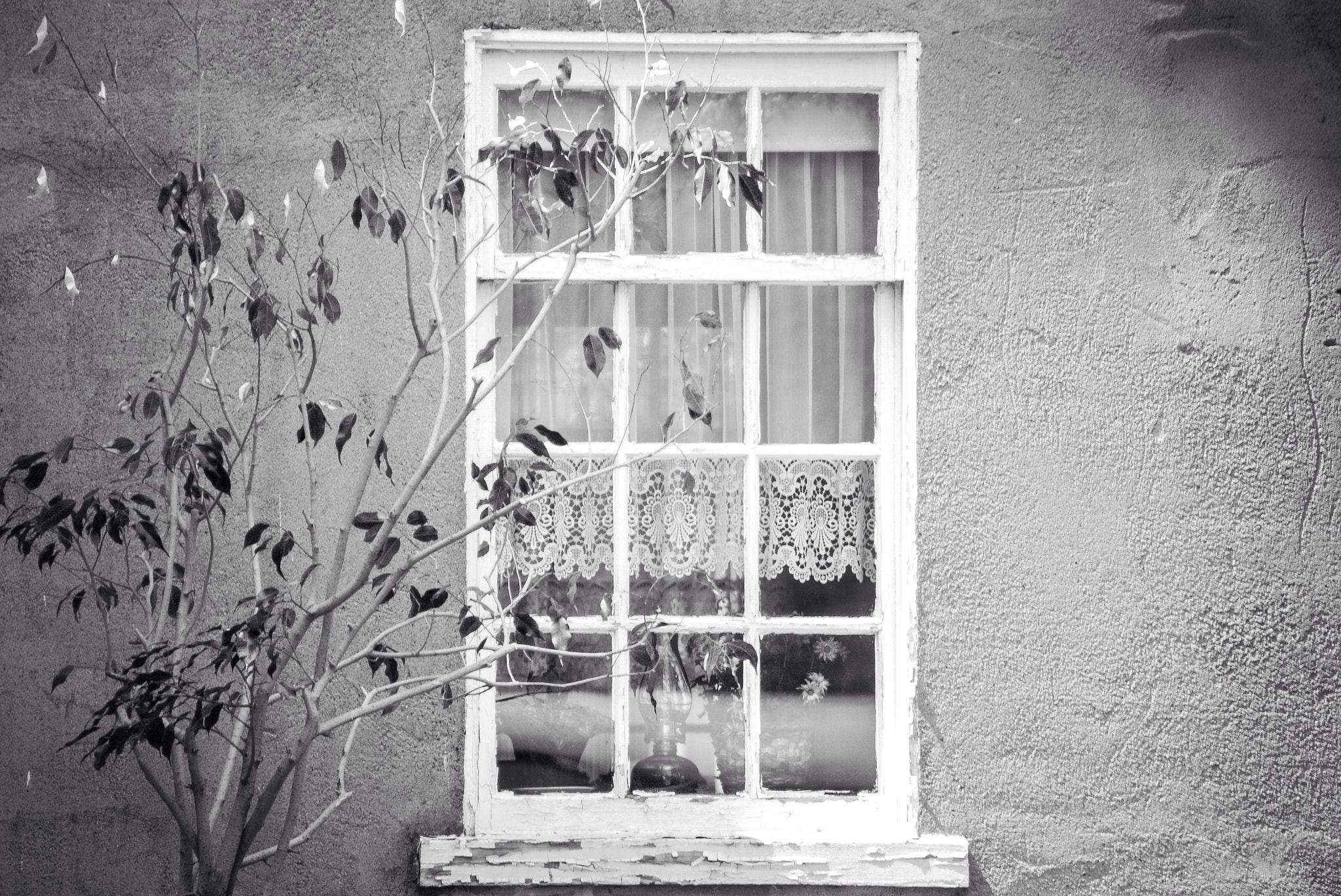 Panasonic Lumix G Vario 45-200mm F4-5.6 OIS sample photo. Aged and timeless. photography