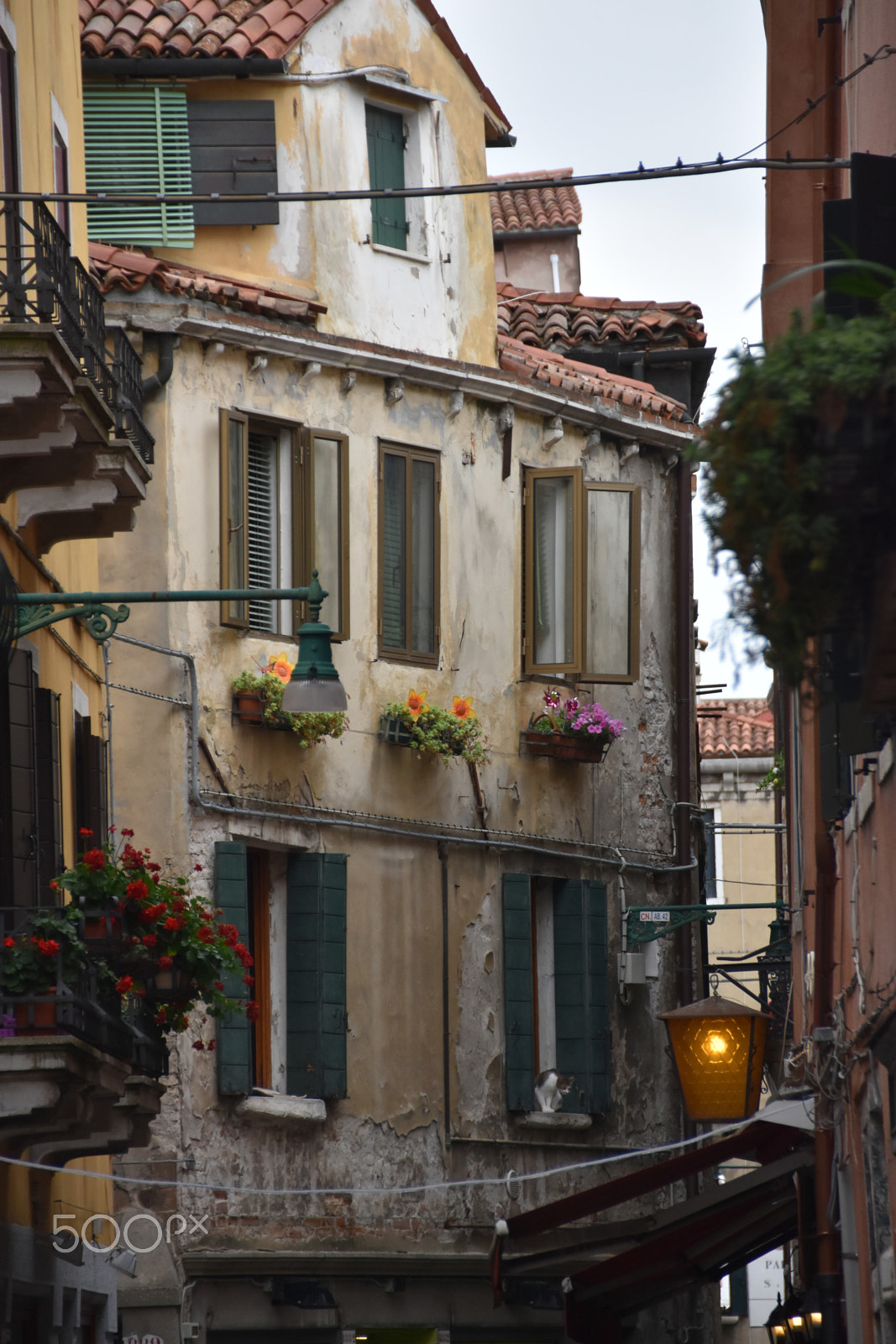 Sigma 18-200mm F3.5-6.3 II DC OS HSM sample photo. Venice photography